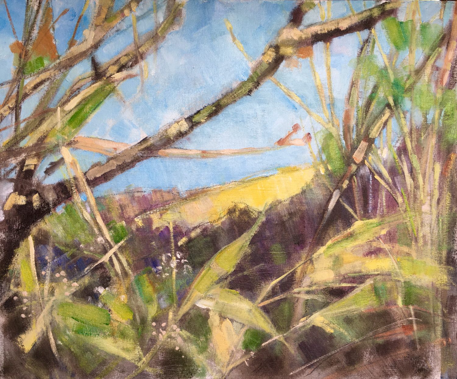 Meadow At Huttons Ambo