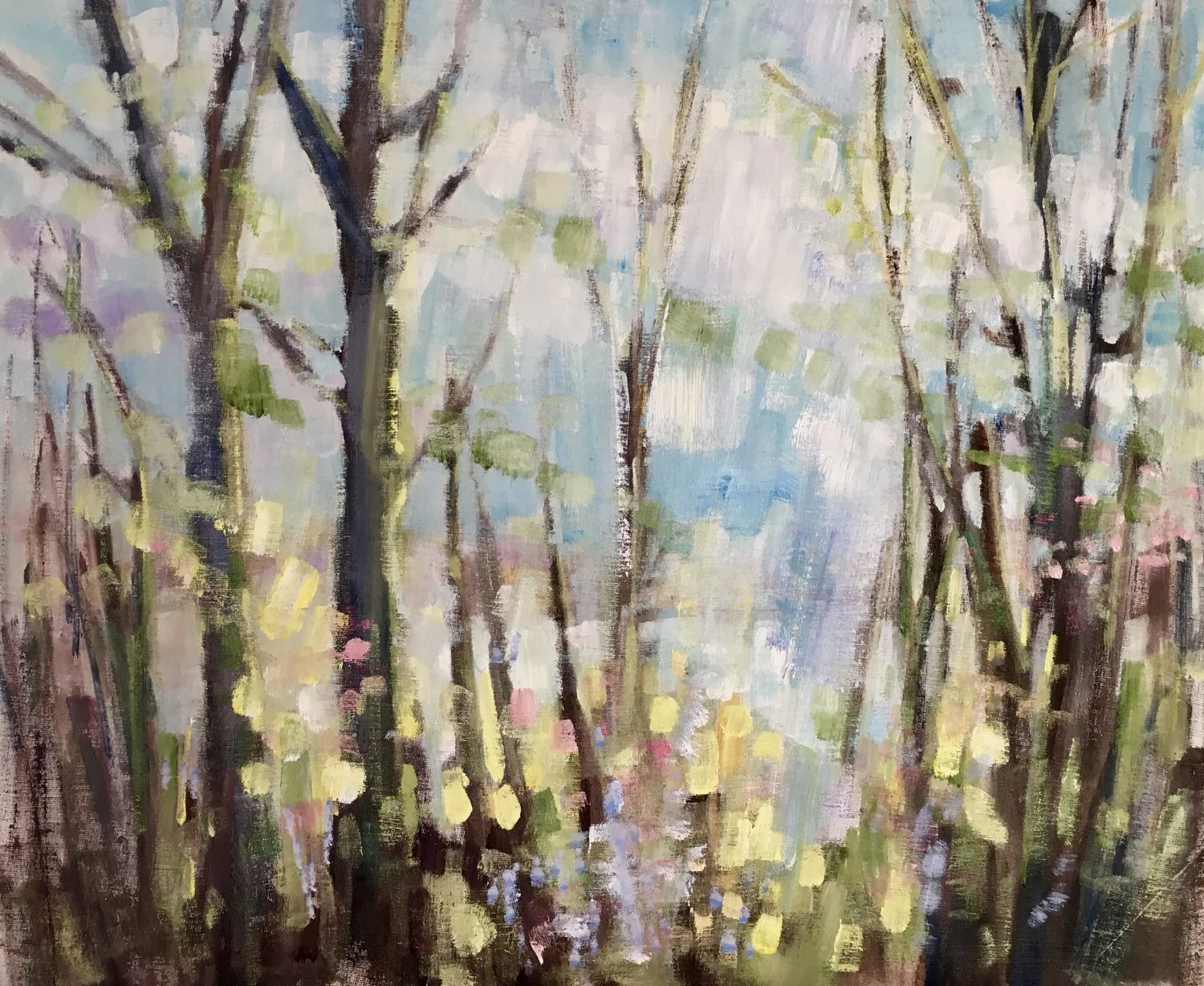 Spring Light Loch Tay