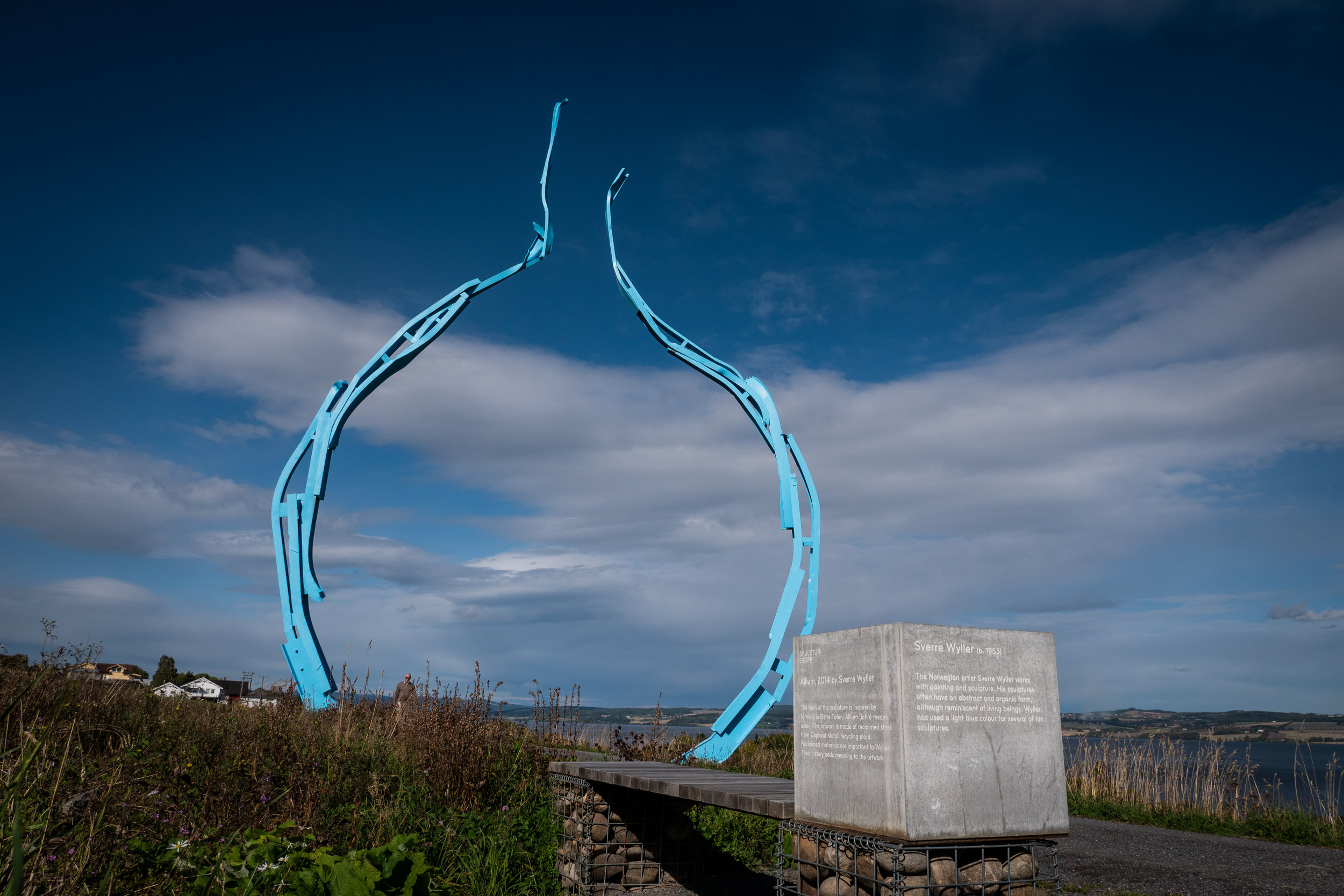  Sverre Wyller,  Allium , 2014 © Sverre Wyller / BONO. Foto: André Løyning 