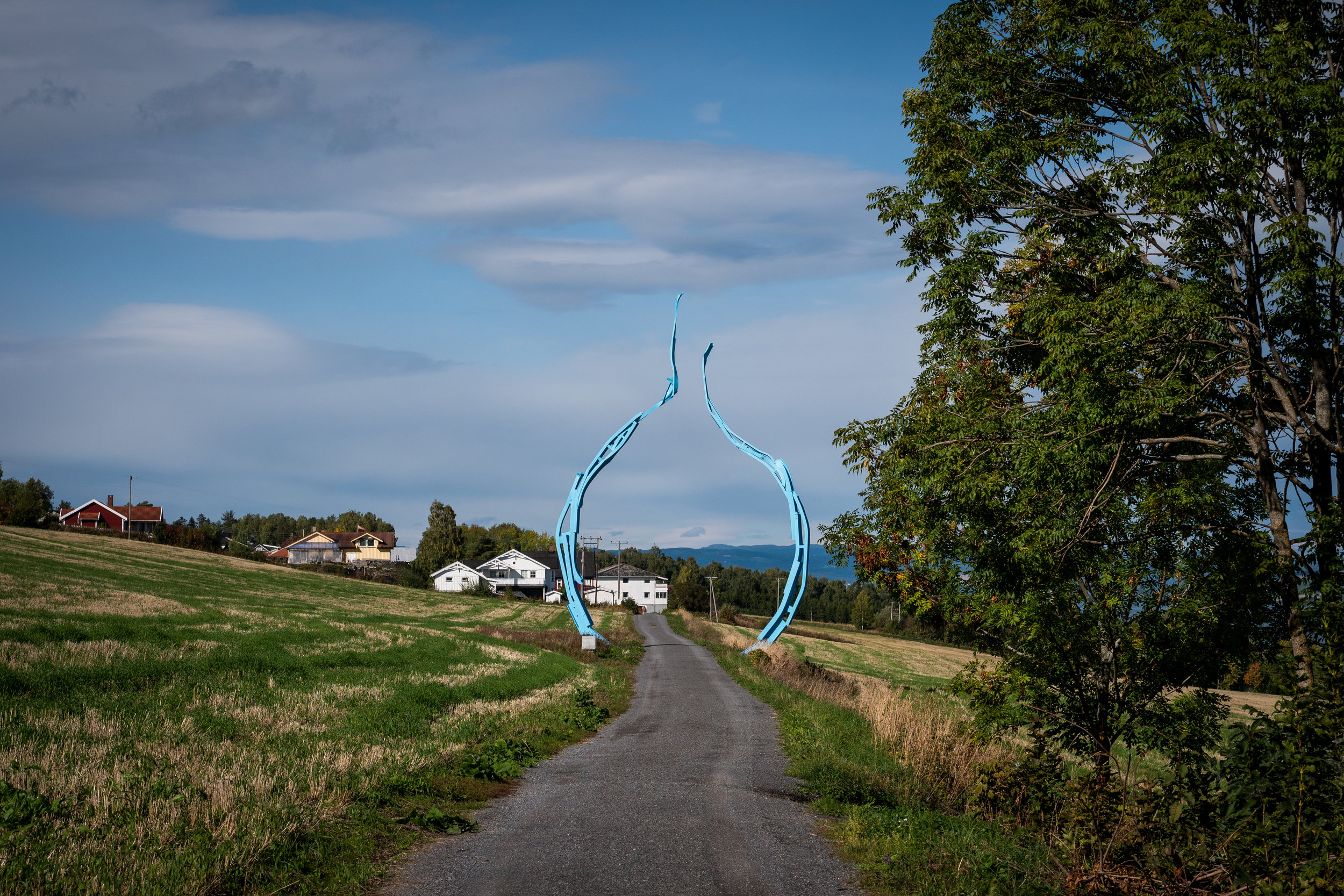  Sverre Wyller,  Allium , 2014 © Sverre Wyller / BONO. Foto: André Løyning 