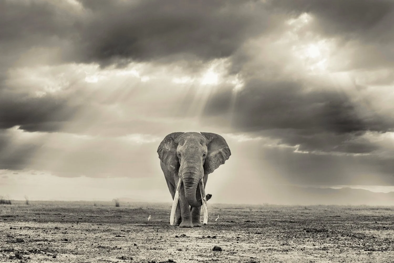 Photography by Finlay Marrian