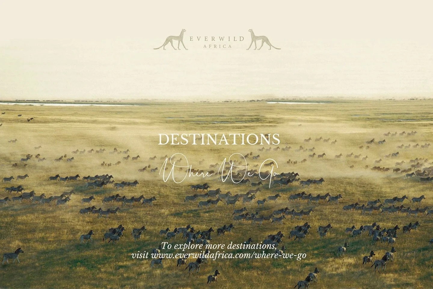 Africa is a world of landscapes, colours and rhythm &ndash; every region with its own story to tell.

Most of our journeys begin here in Kenya, the heart of safari country &ndash; alive with wildlife, beauty and deep connection to the wild.
From ther