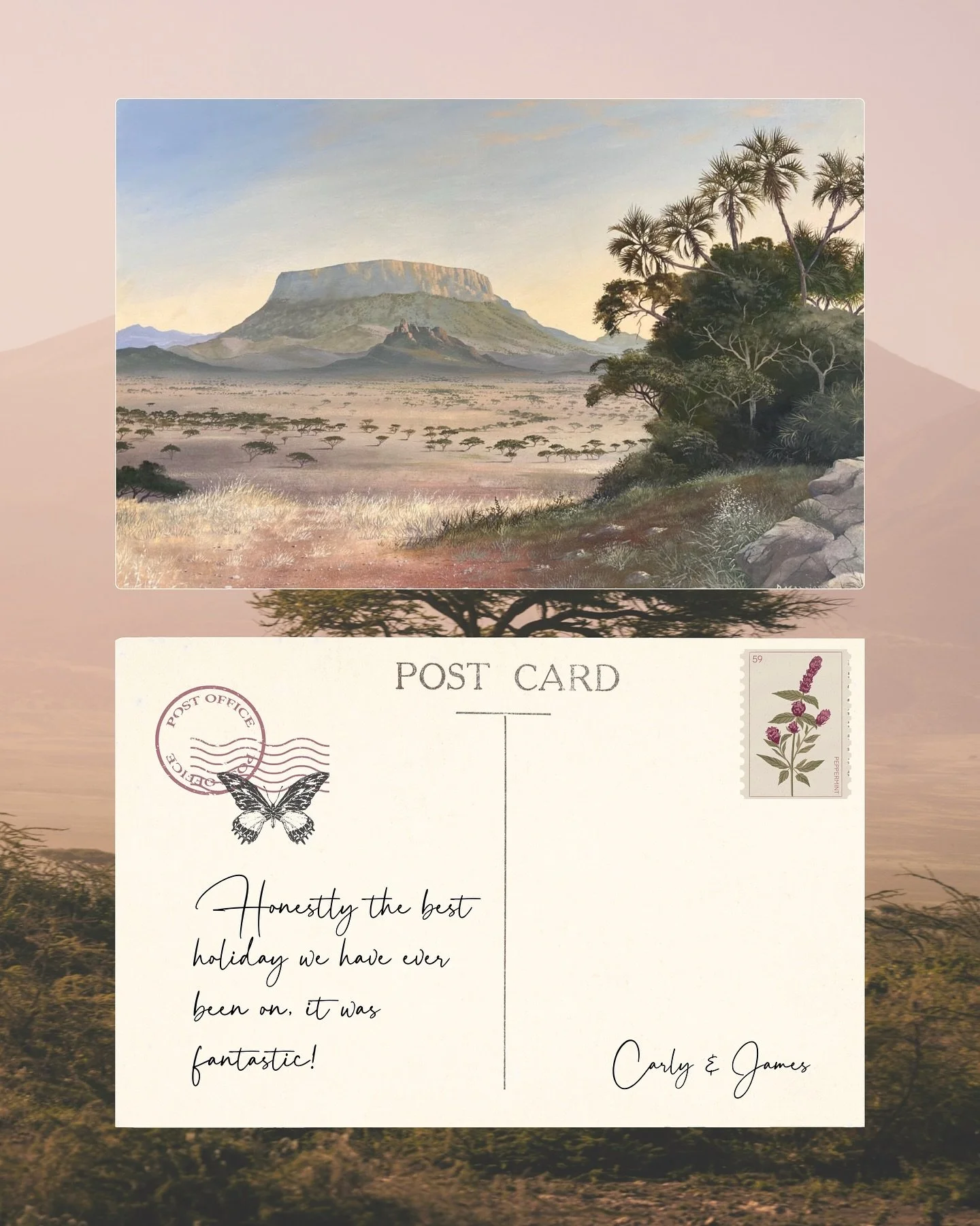 The truest reflections of a safari come from the people who&rsquo;ve lived it.
Real moments, real memories, real emotion.

💬 Swipe through to read what our guests shared after their journeys with us &ndash; from quiet mornings on the plains to those