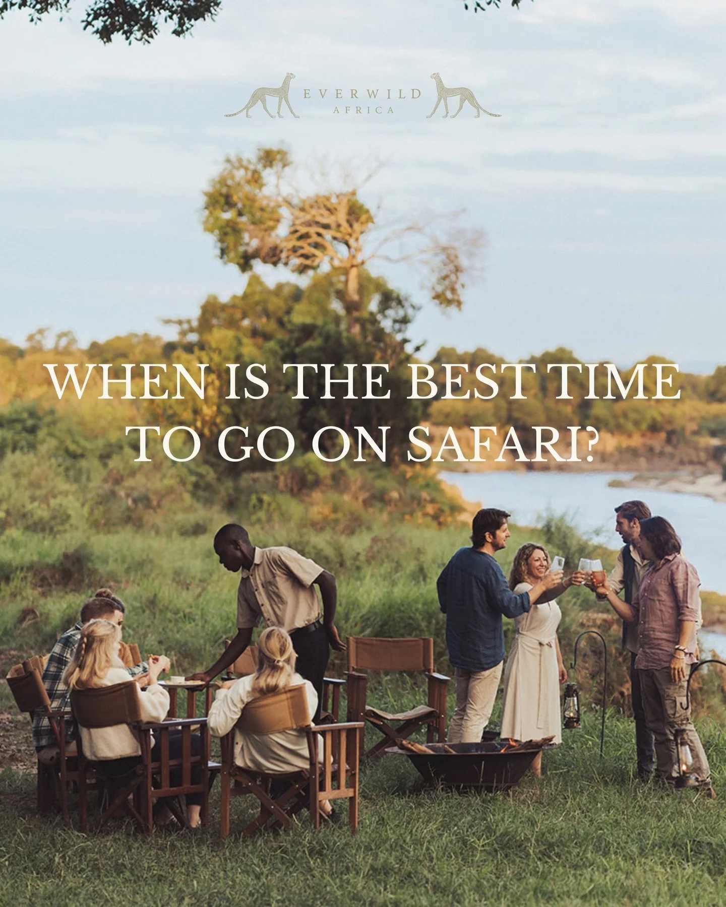 The honest answer is that it depends.

On where you&rsquo;re going.
On what you want to see.
On whether you&rsquo;re chasing the Great Migration, calving season, lush green landscapes, or simply a quieter moment in the wild.

There&rsquo;s no single 