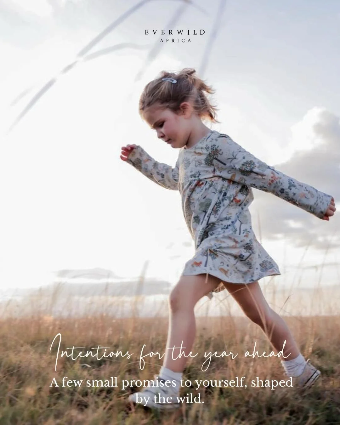 Happy New Year! ✨

As the year begins quietly, there&rsquo;s space to slow down and think about what we want more of.
Time to look up. To notice the details we usually miss. To be fully present with the people who matter most.

Safari has a way of br