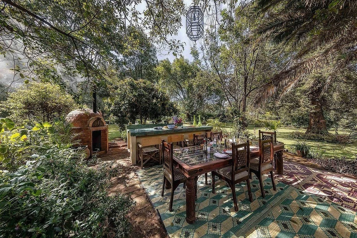 image_processing20260212-1-ndptri.jpeg (Copy) (Copy) (Copy)