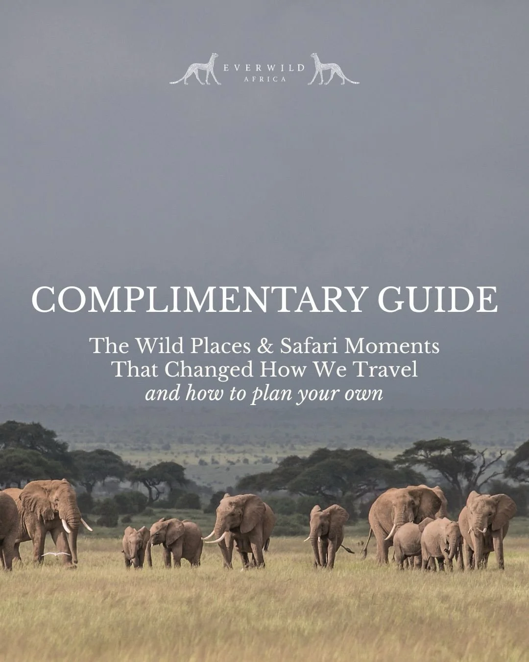 Planning a safari can feel overwhelming - where to go, when it works, what actually makes it special.

We&rsquo;ve pulled together a quiet guide to the places we return to, and the thinking behind them.

Not a list of everything - just what we know w