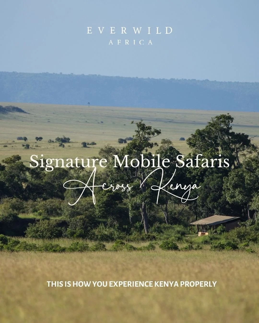 There are many ways to go on safari.

Ours are designed to move with you -
through Kenya&rsquo;s wildest landscapes,
guided by timing, access, and how you want to experience it.

If this feels like your kind of journey
✨ explore how it all works via 