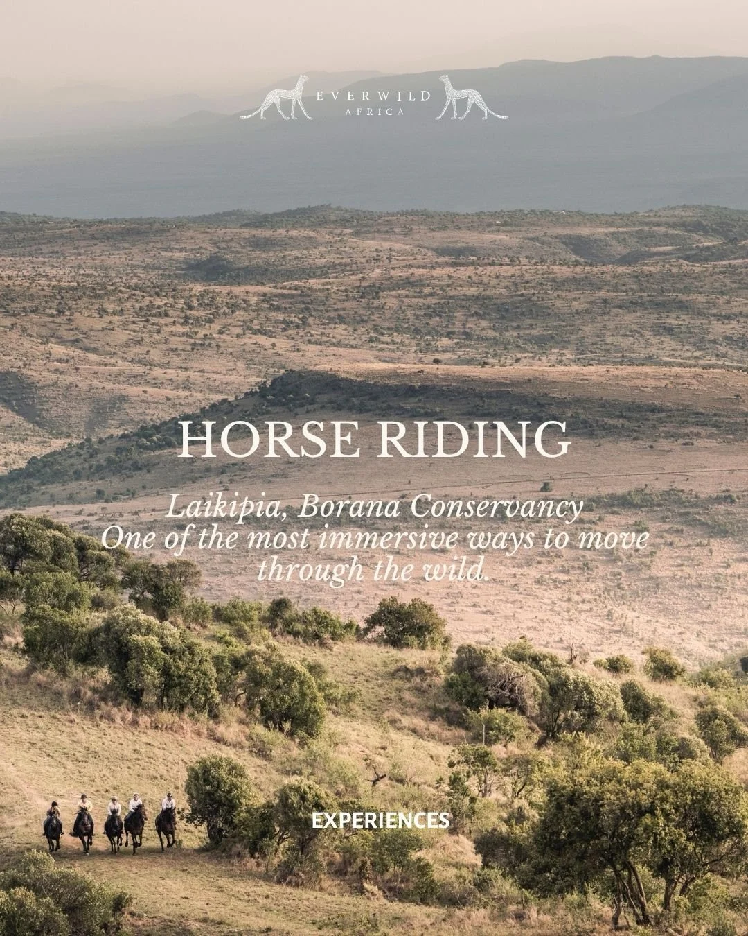 There&rsquo;s something incredibly special about experiencing the wilderness on horseback.

Away from roads and vehicles, you notice everything differently - the sound of zebra moving through the grass, giraffe watching curiously from the trees, the 