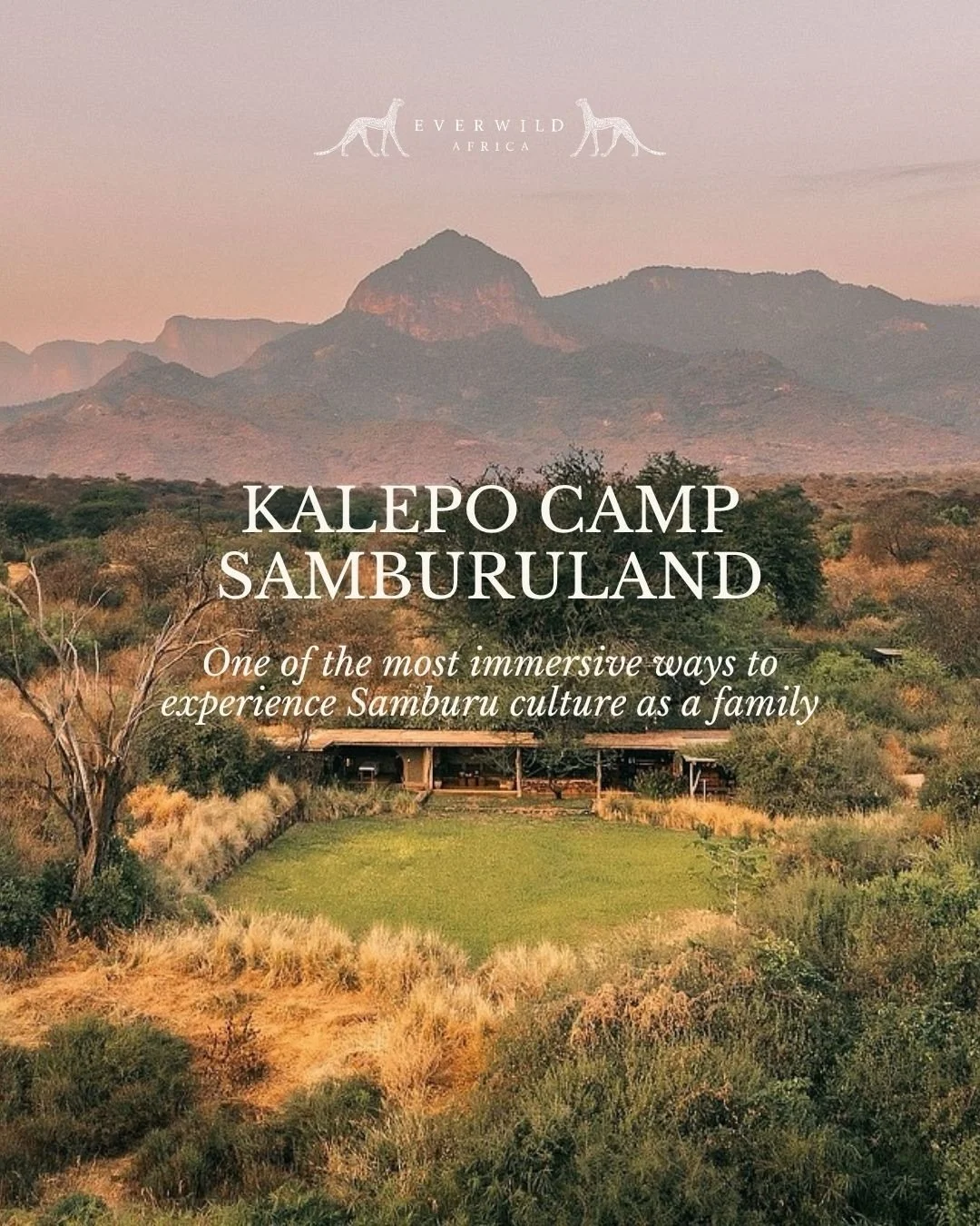 There are very few places in Kenya that feel quite like @kalepocamp

A small camp beneath the Mathews Range where families are welcomed into everyday Samburu life in a way that feels natural, personal and deeply memorable.

It&rsquo;s the kind of saf
