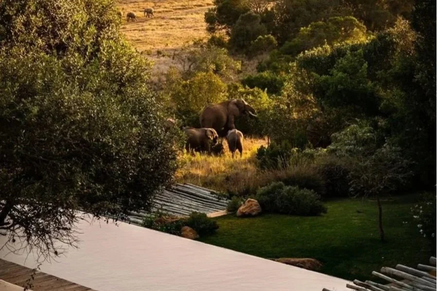 September Journey: From the Great Migration to Borana Sustainable tourism