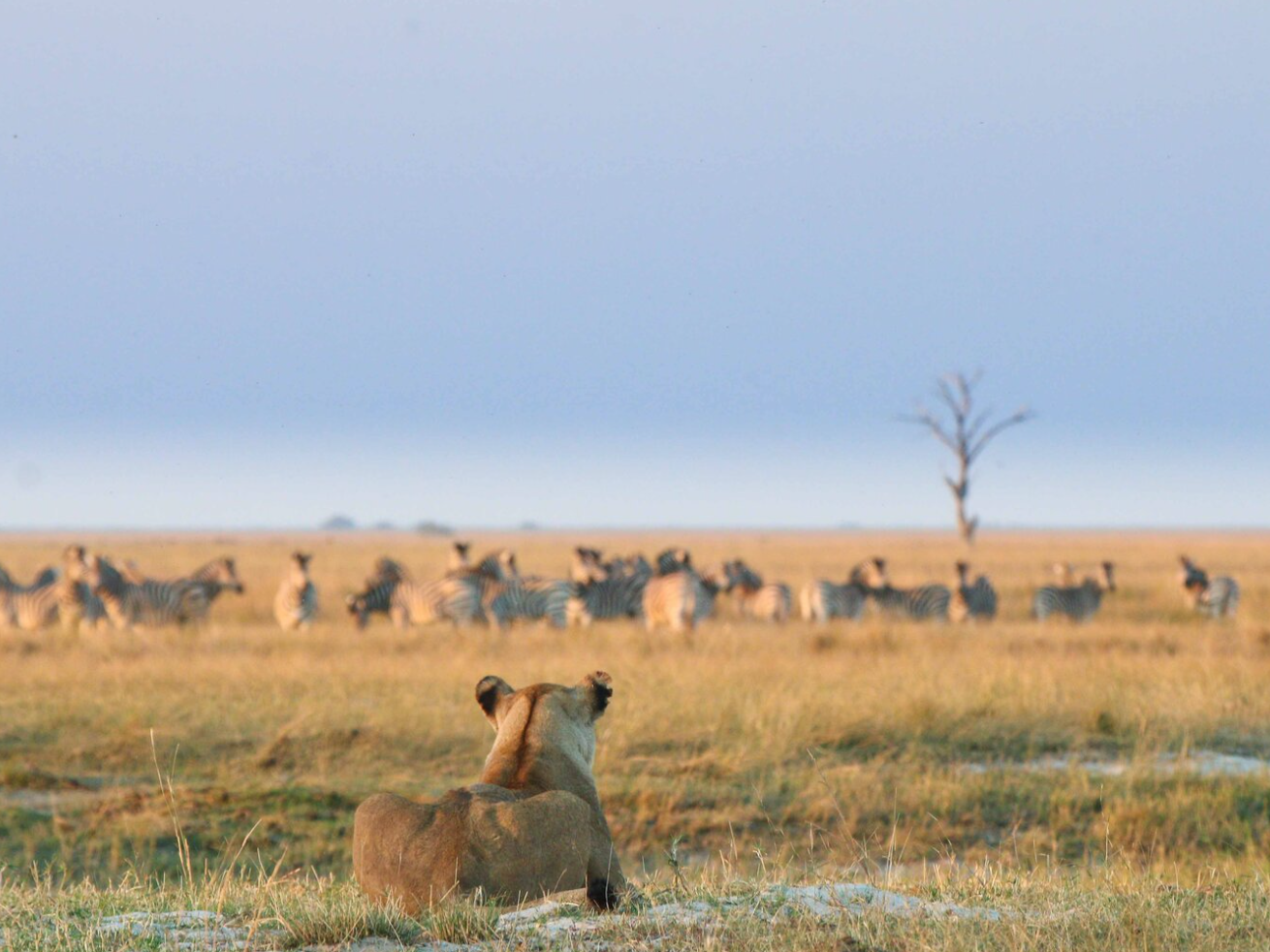 Screen Shot 2025-02-21 at 1.23.49 PM.png