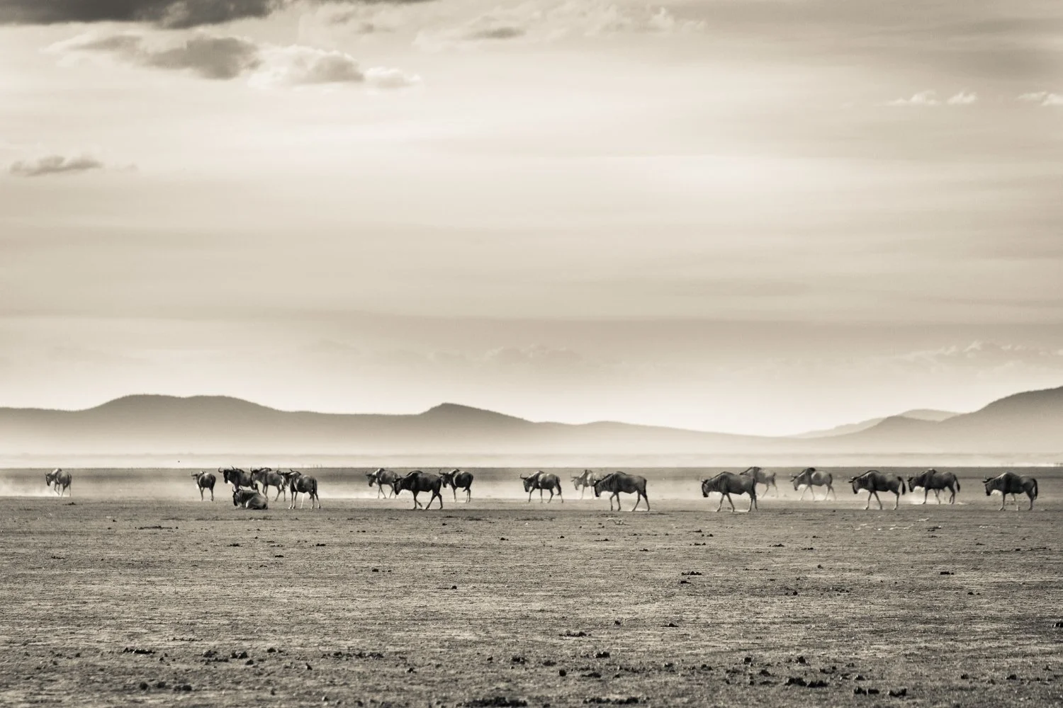 Photography by Finlay Marrian