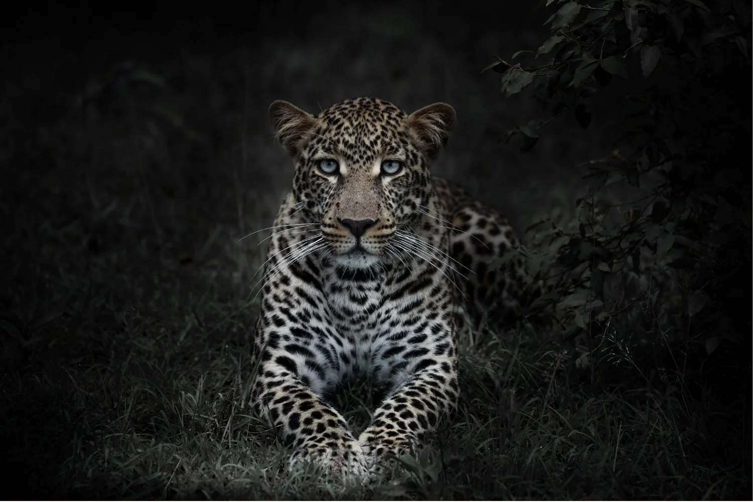 Photography by Finlay Marrian