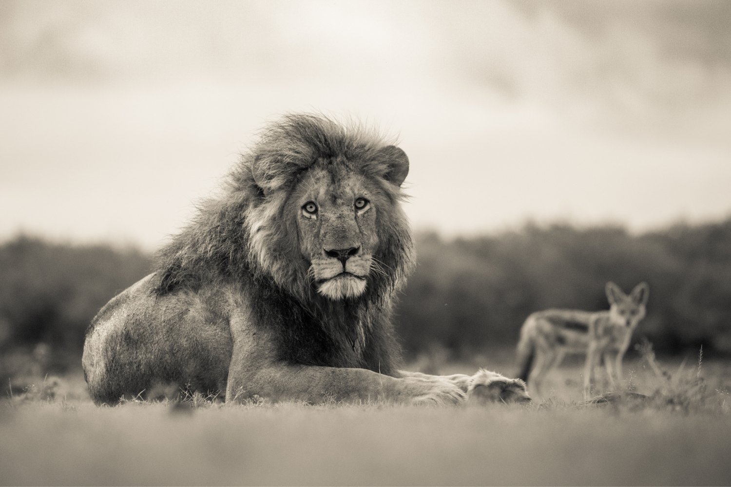 Photography by Finlay Marrian