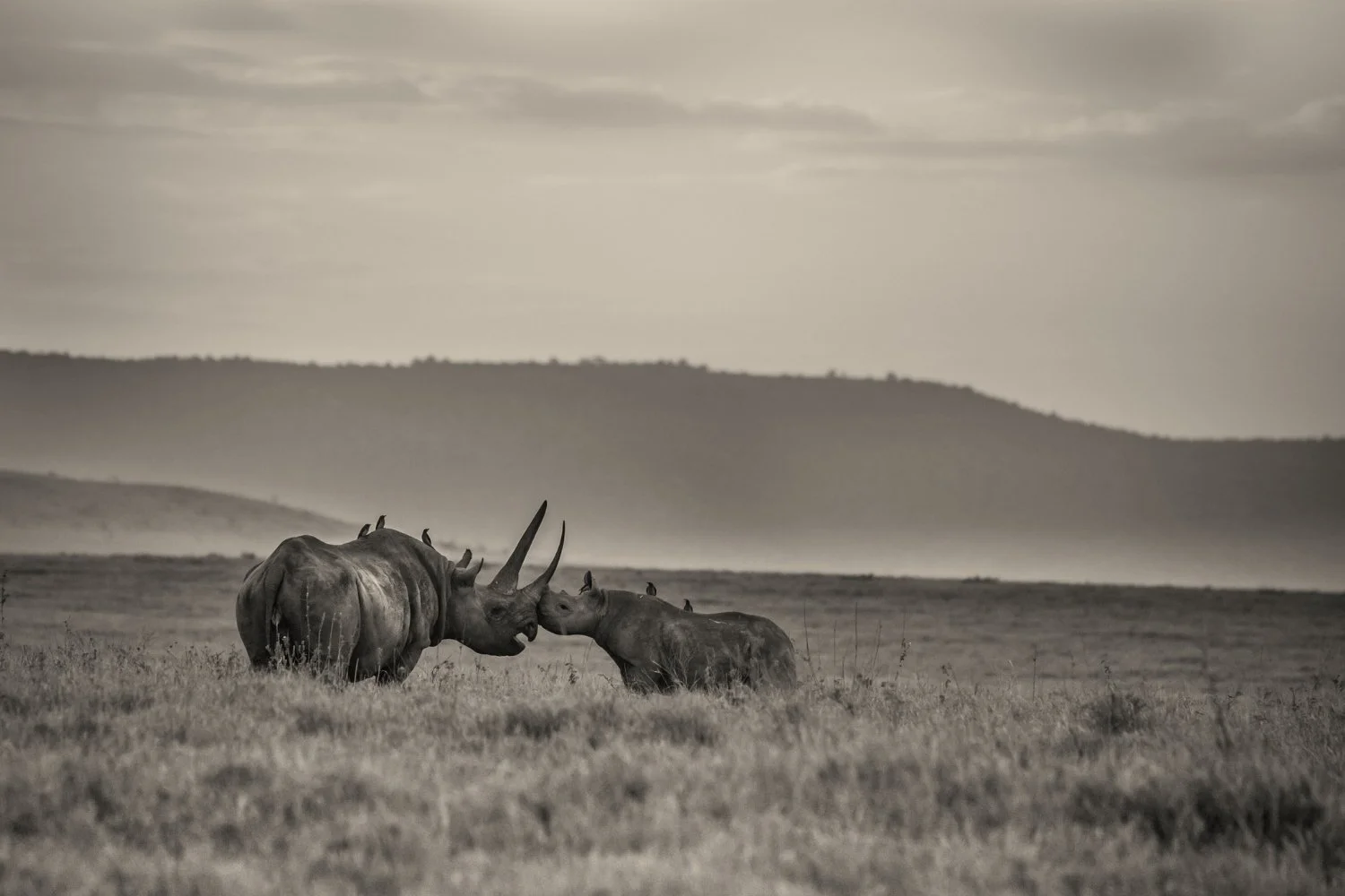 Photography by Finlay Marrian