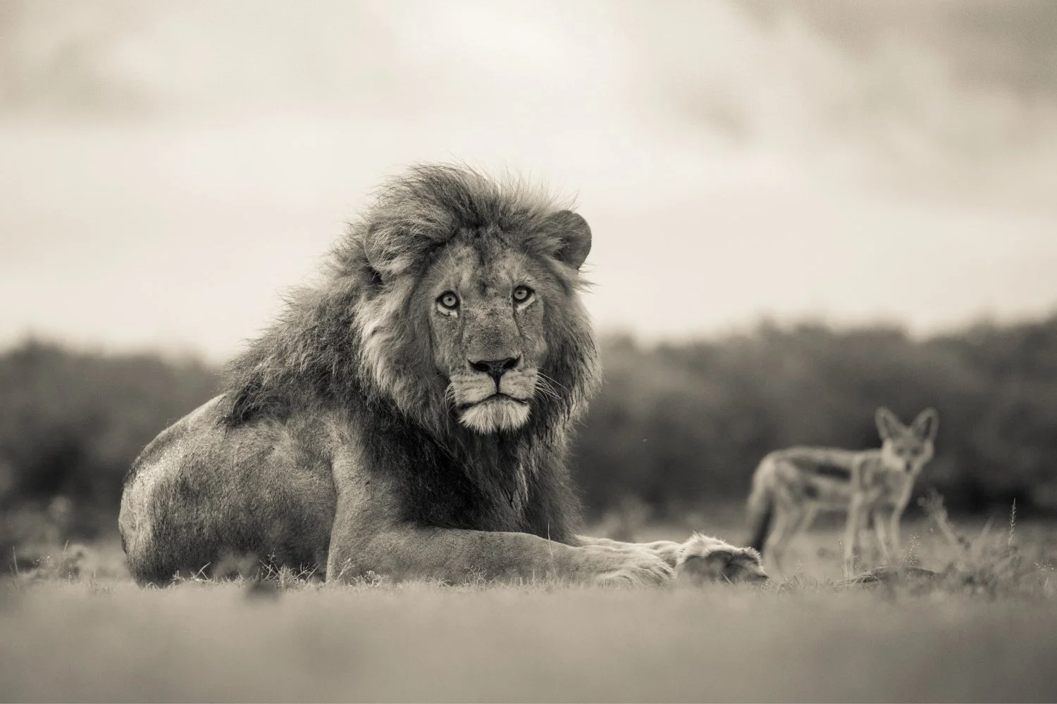 Photography by Finlay Marrian