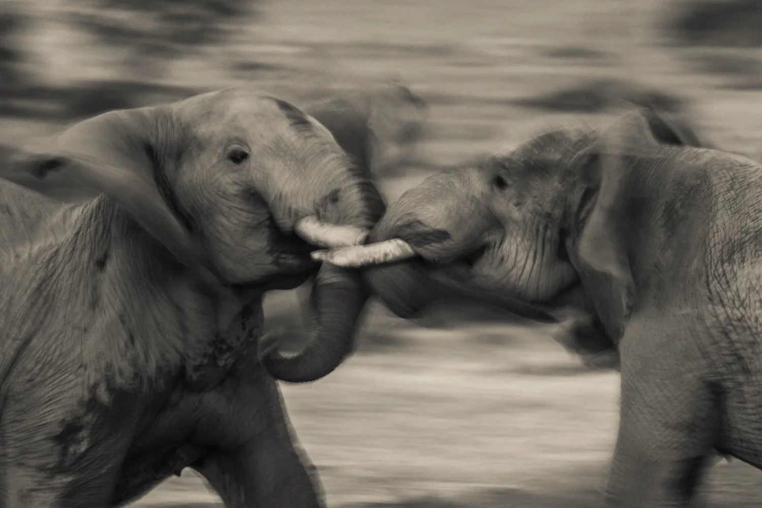 Photography by Finlay Marrian