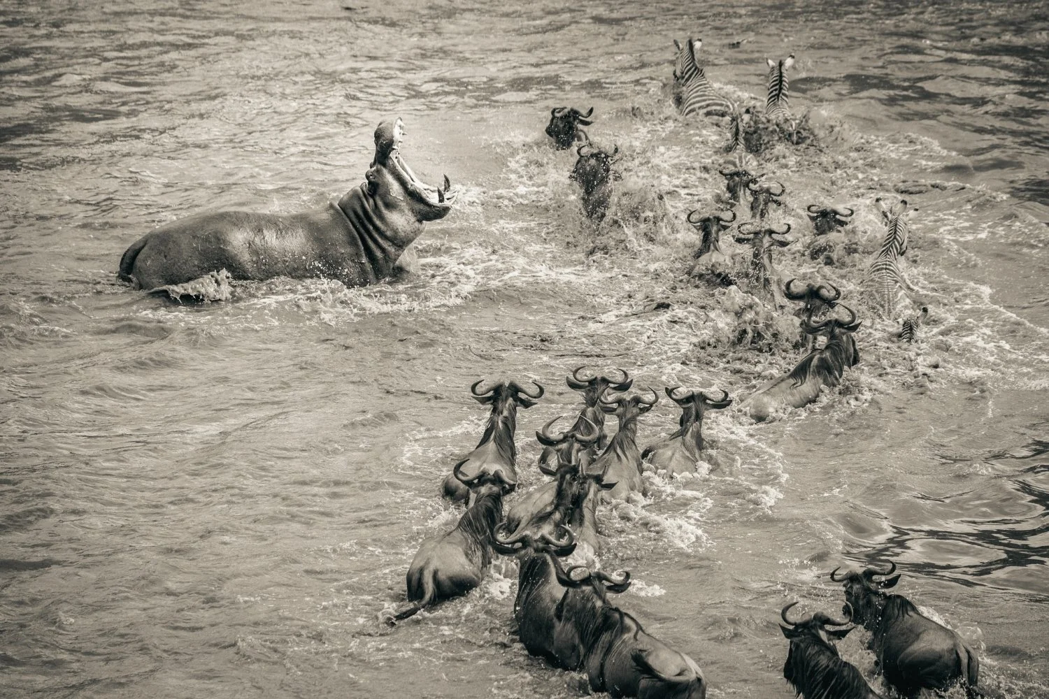 Photography by Finlay Marrian