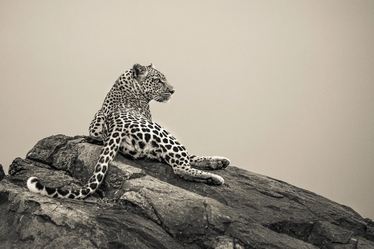 Photography by Finlay Marrian