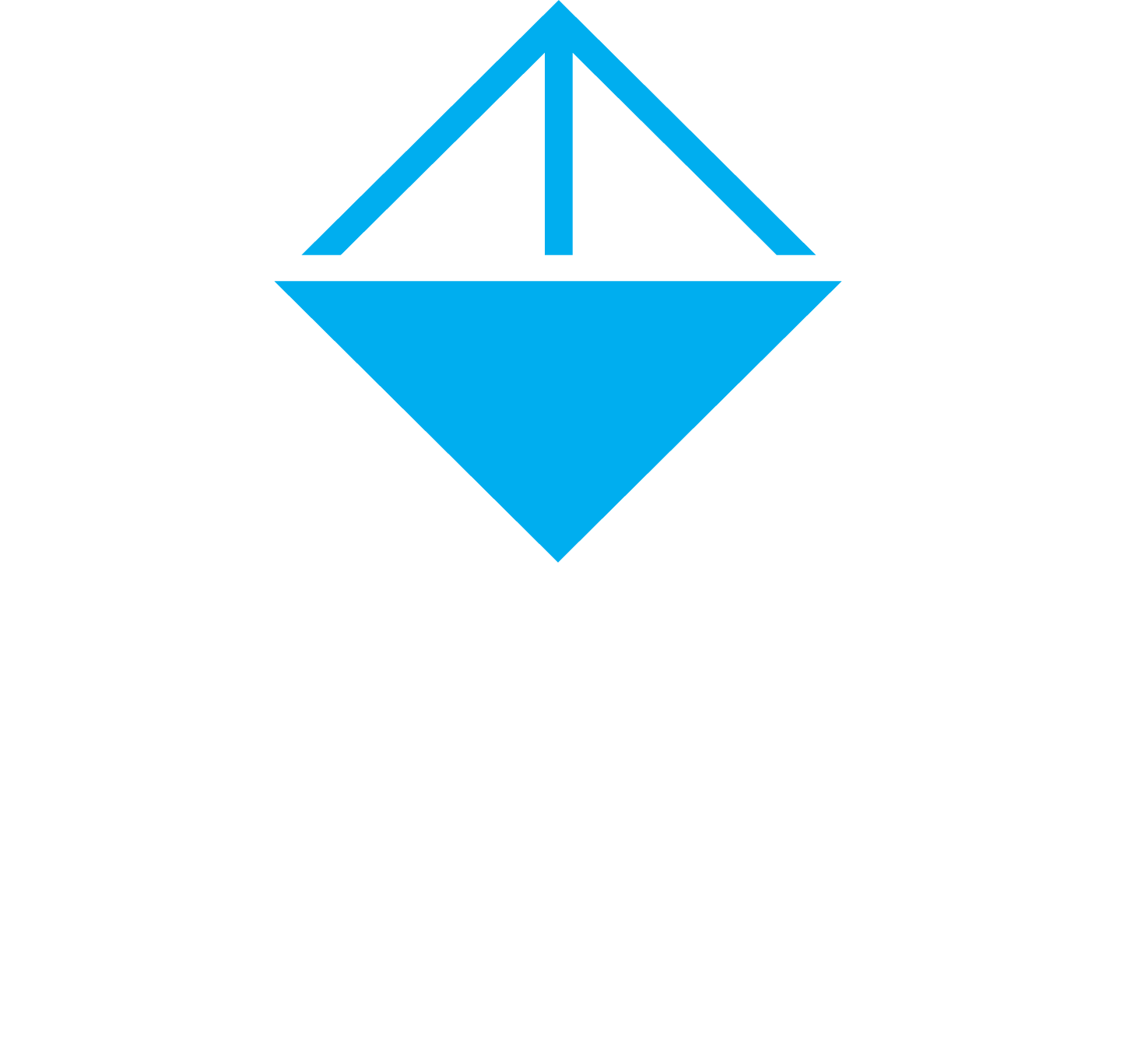 Metisllp.com