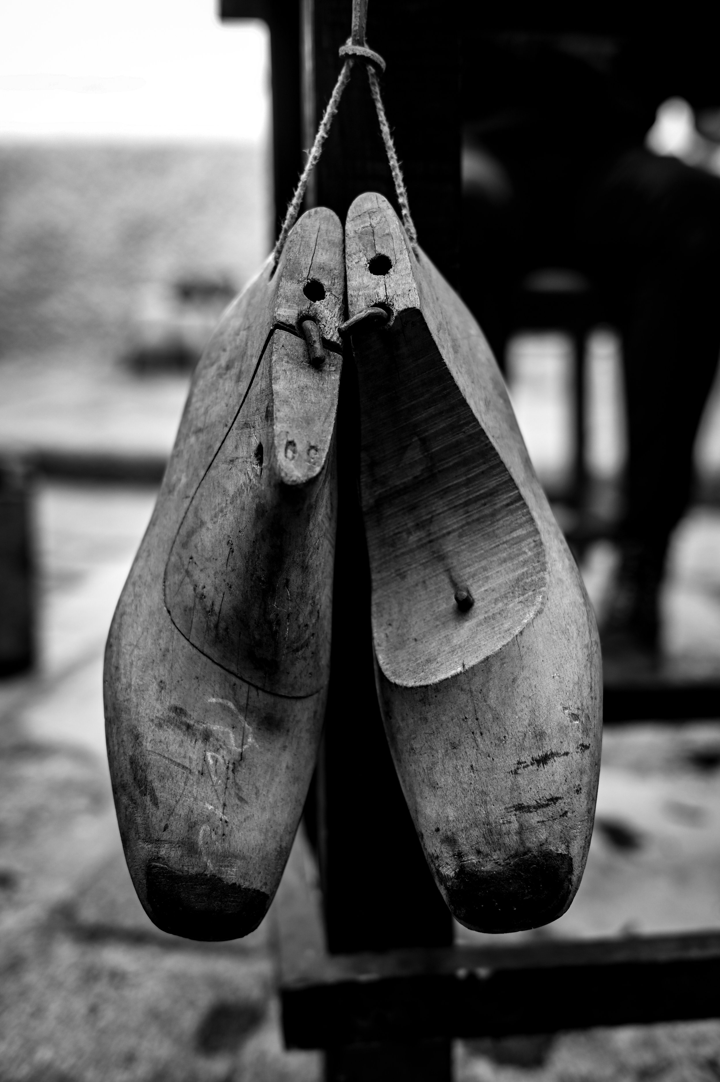 DSC_5071.jpg