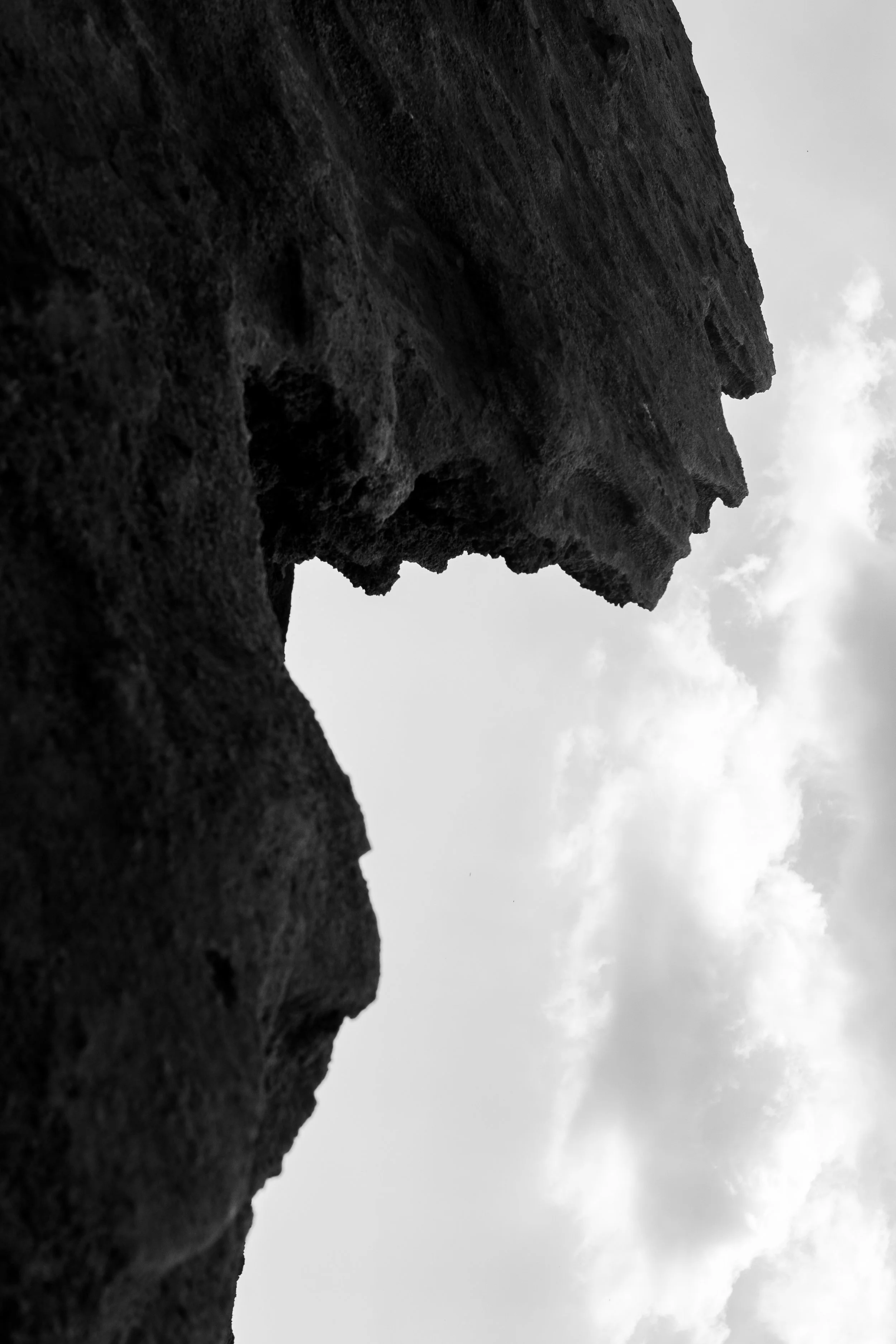P1930129-2.jpg