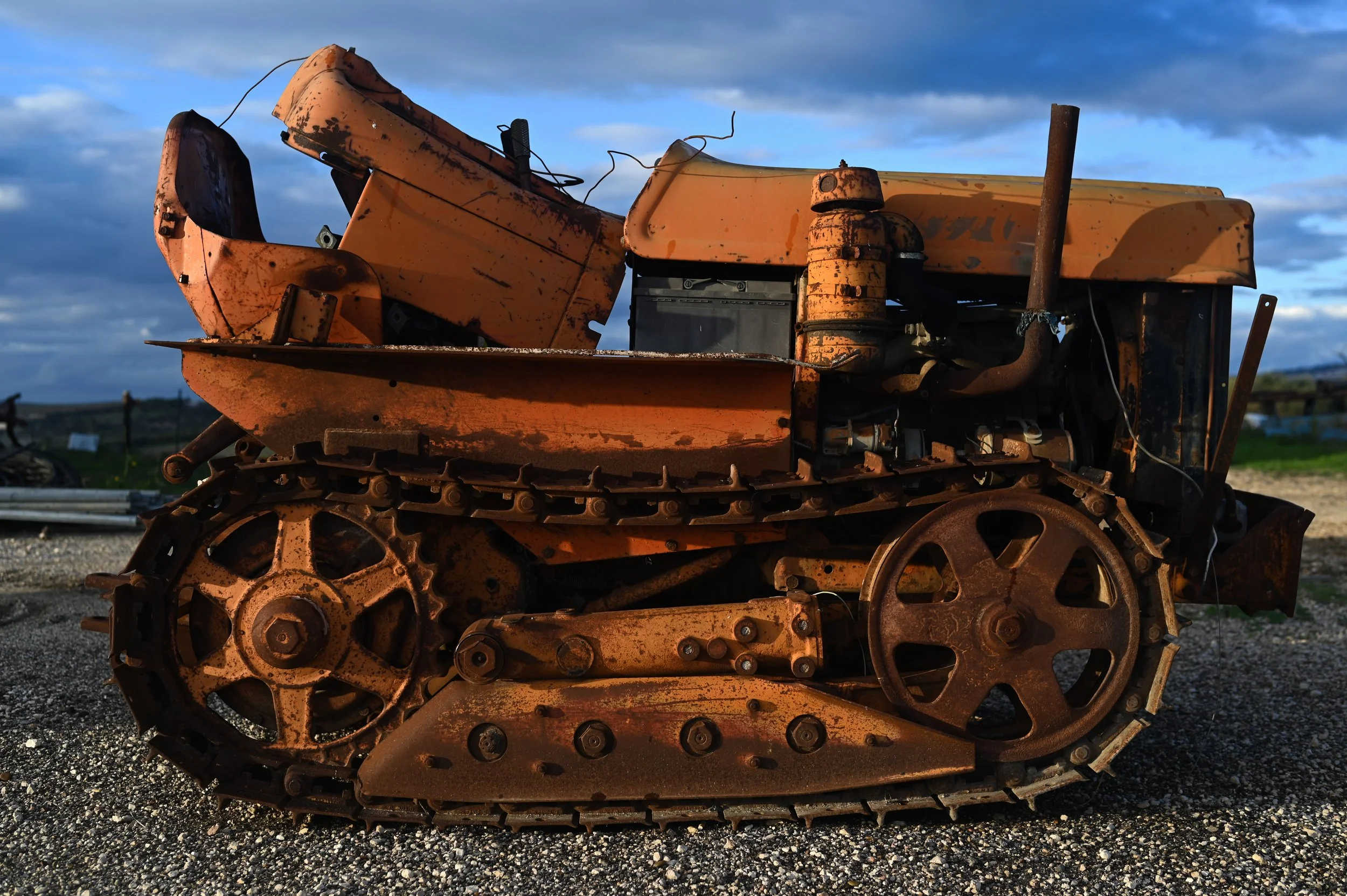 DSC_0299.jpg