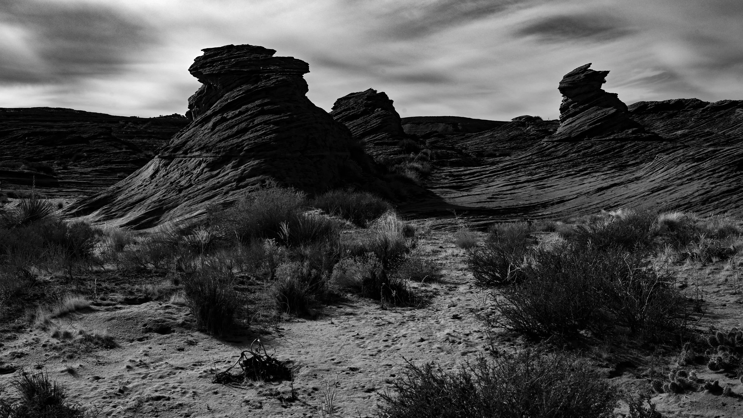 DSC_2318.jpg