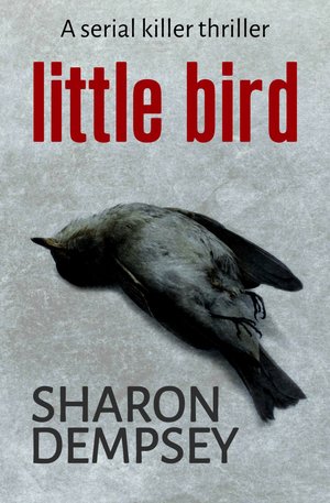 little-bird- Sharon Dempsey.jpg