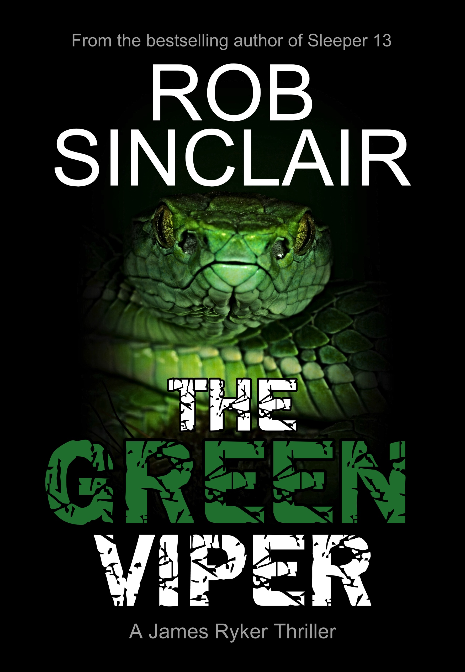 The-Green-Viper-Kindle.jpg