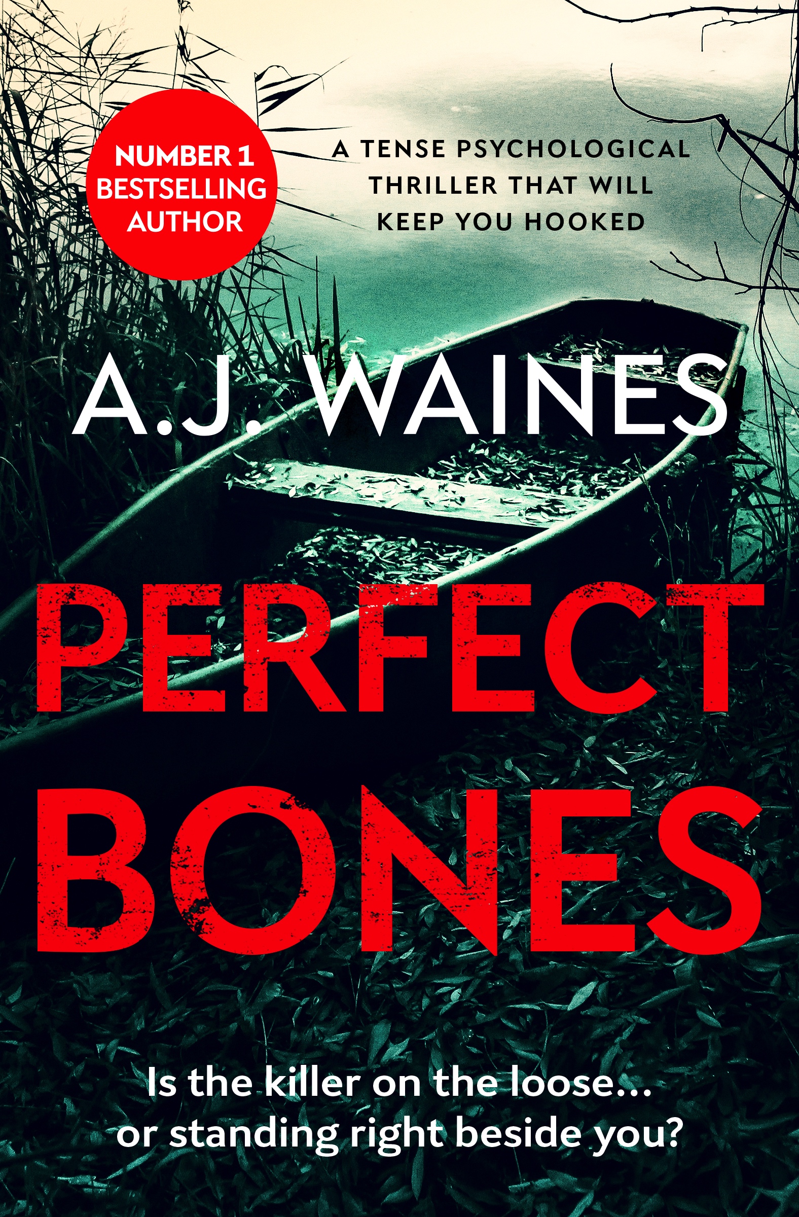 Perfect-Bones-Kindle.jpg