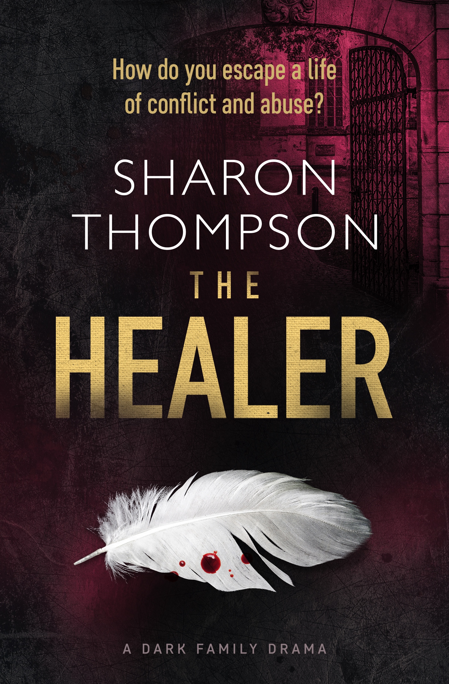 The-Healer-Kindle.jpg