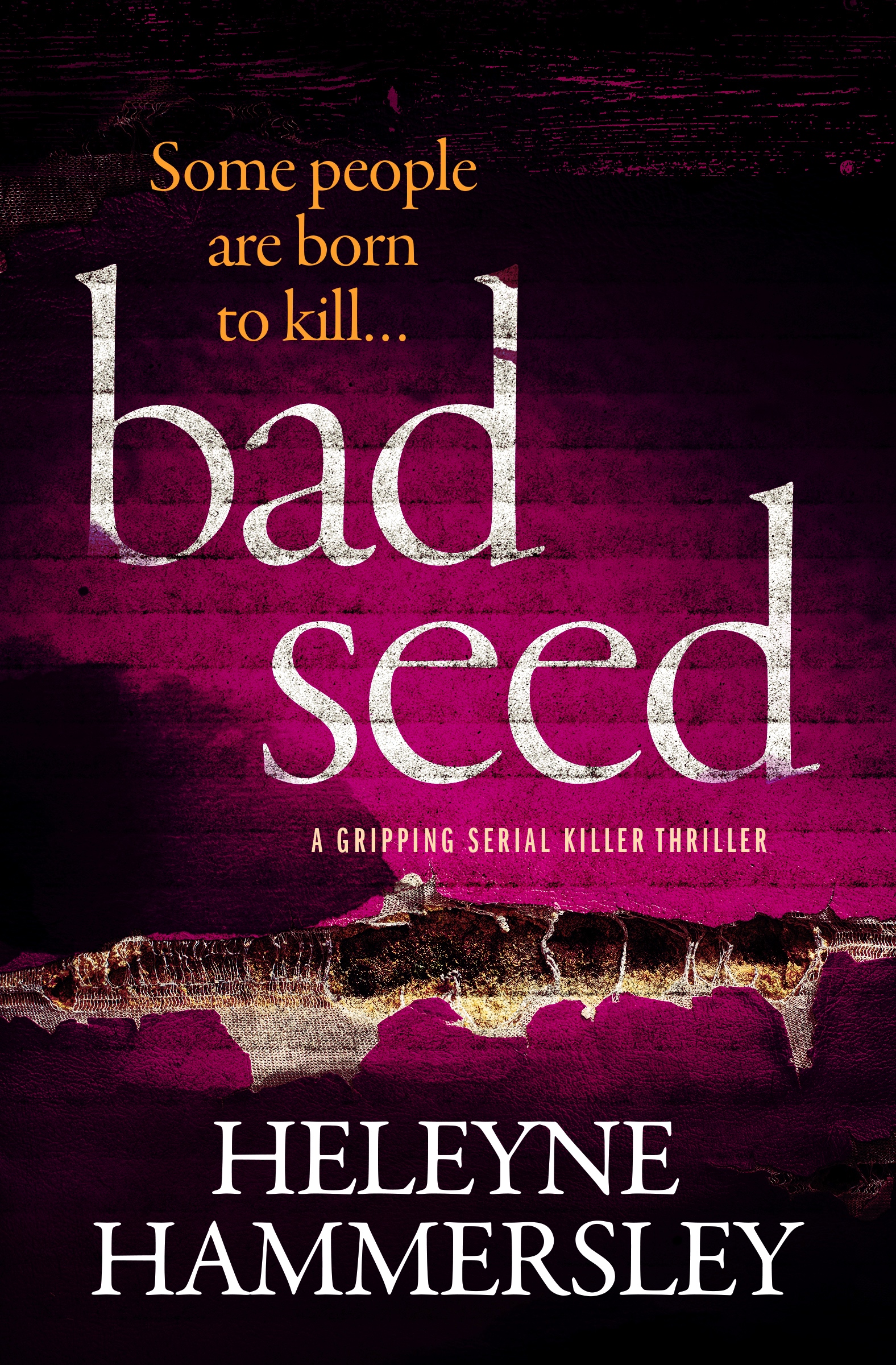 Bad-Seed-Kindle.jpg