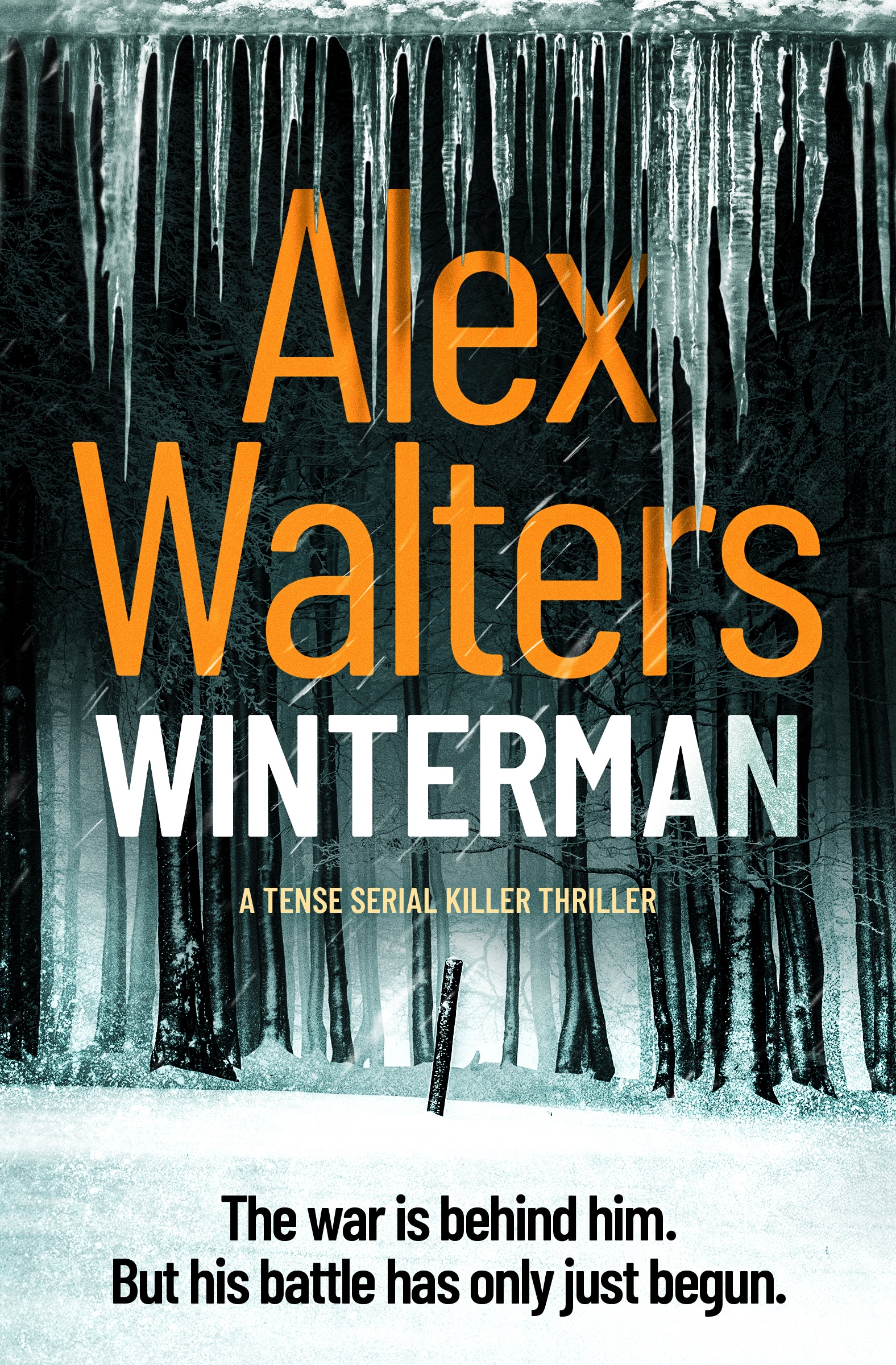Winterman-Kindle.jpg