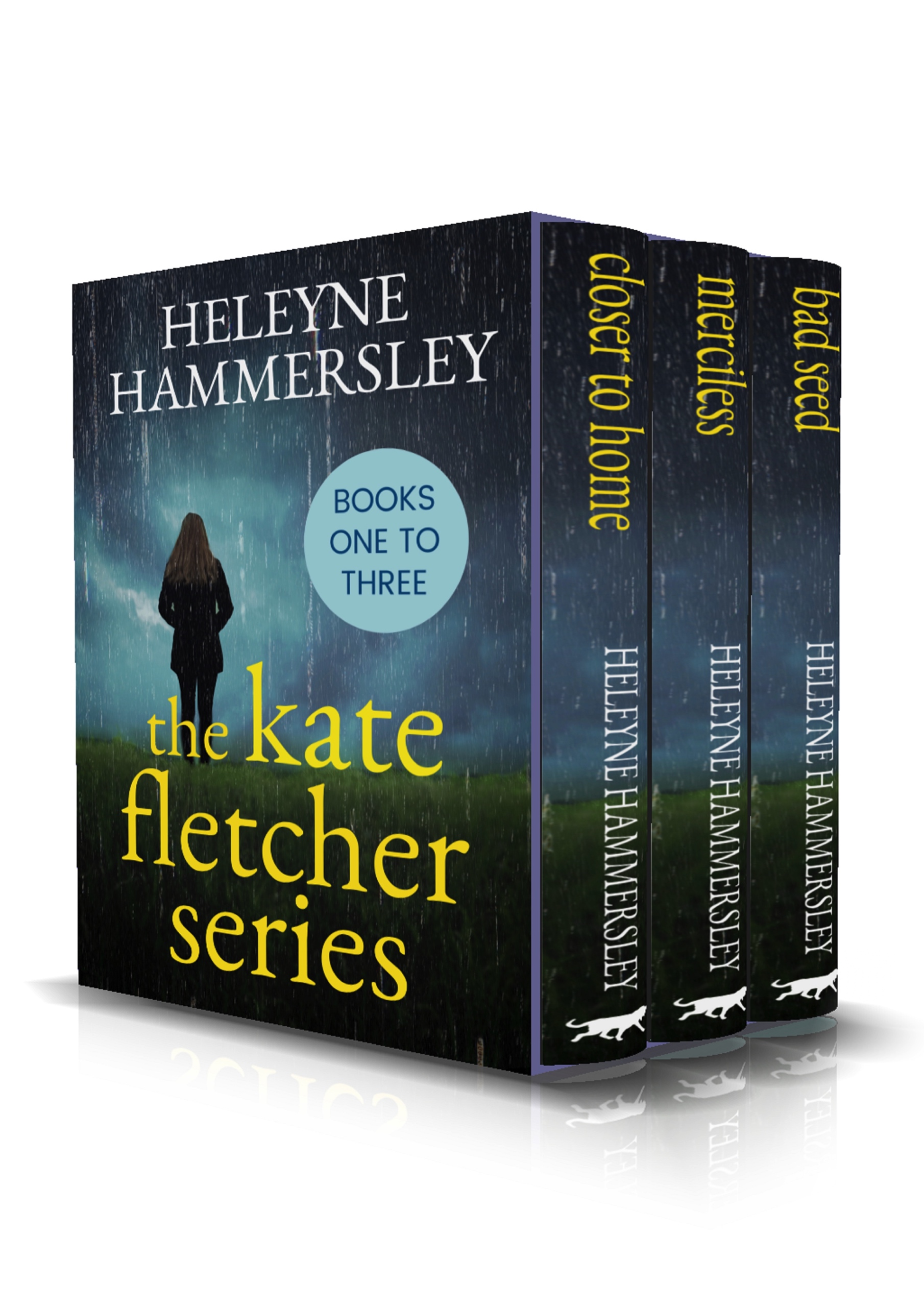 The-Kate-Fletcher-Series-Kindle.jpg