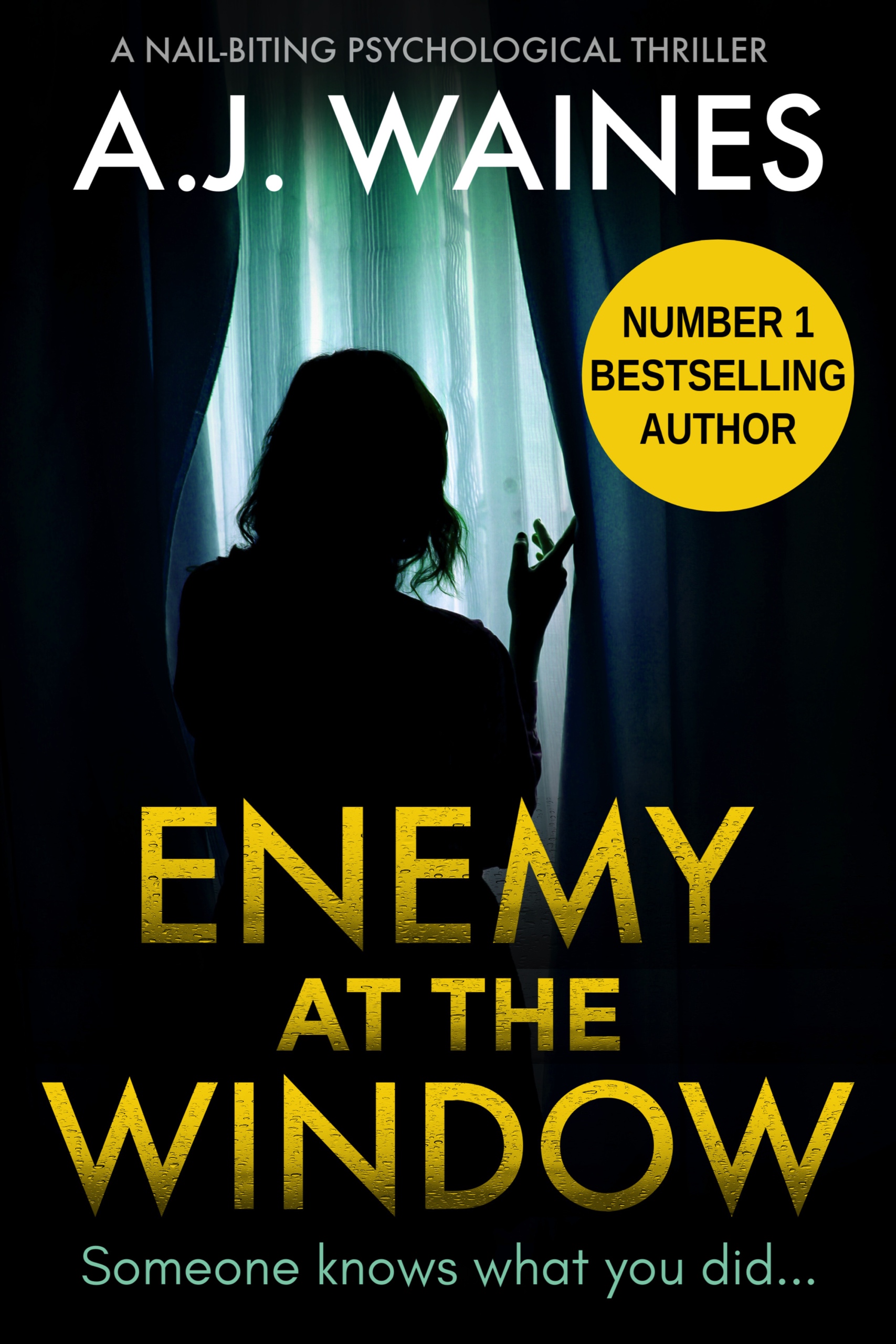 Enemy-at-the-Window-Kindle.jpg