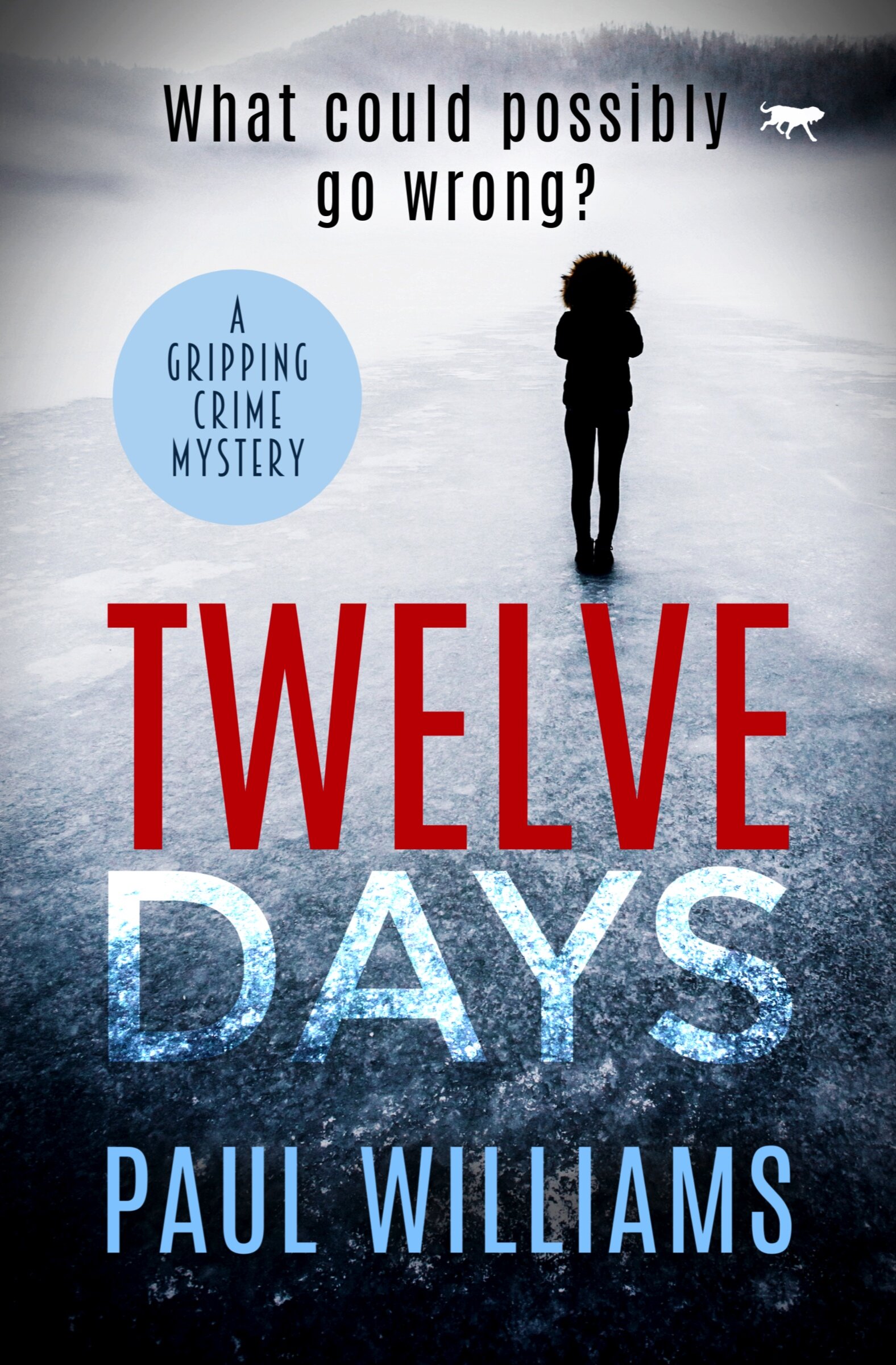 Twelve-Days-Kindle.jpg