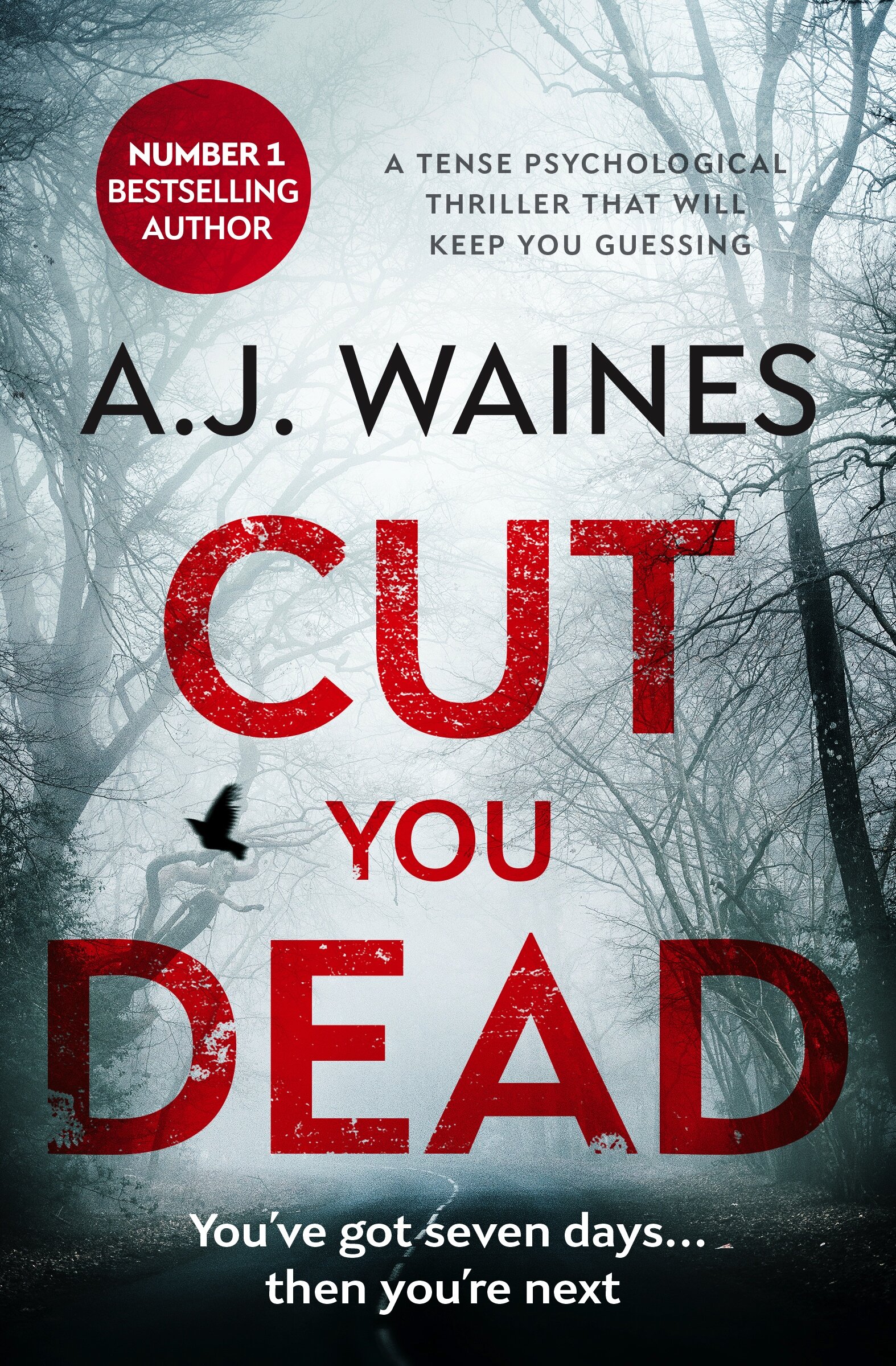 Cut-You-Dead-Kindle.jpg