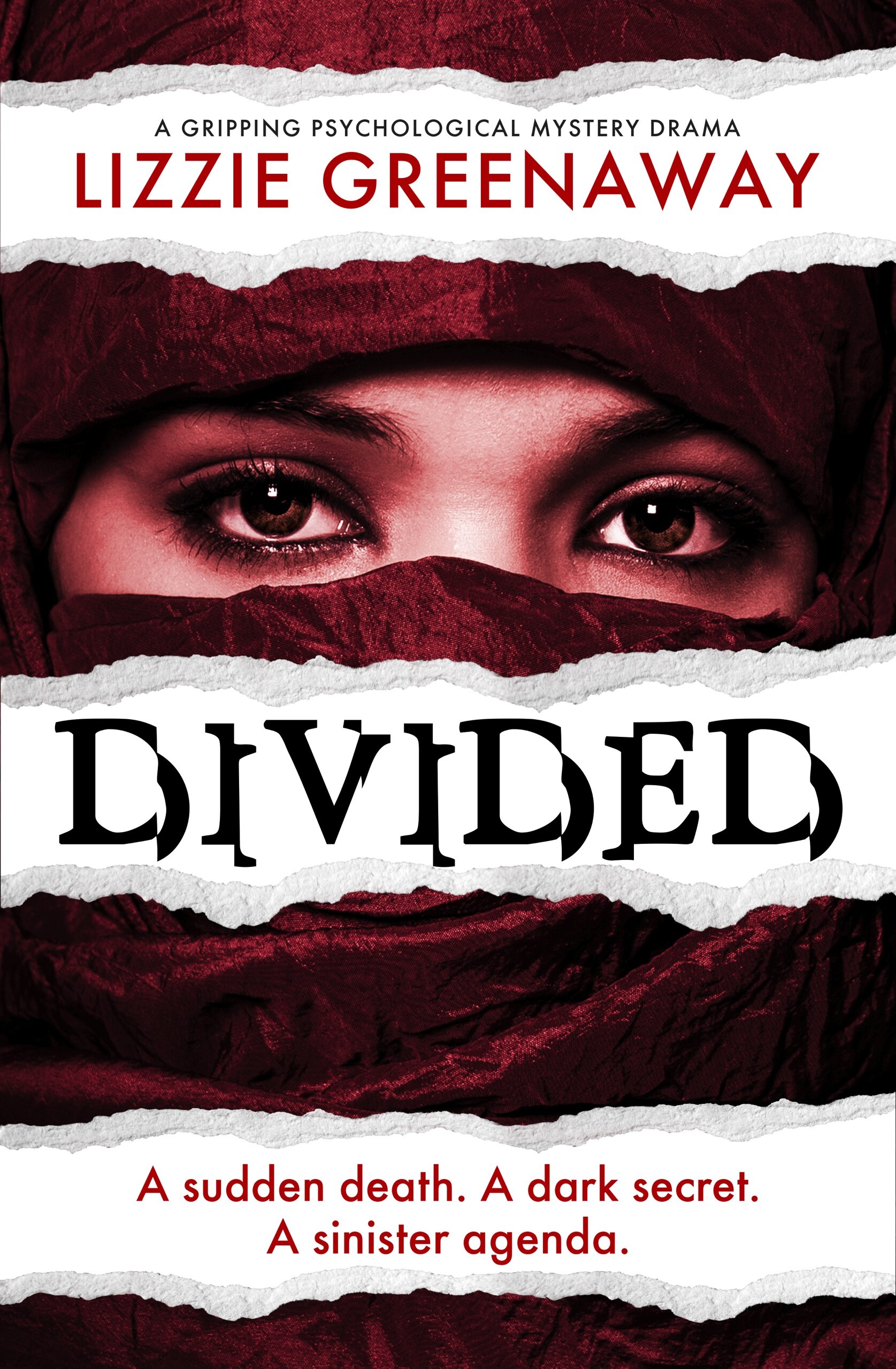 Divided-Kindle.jpg