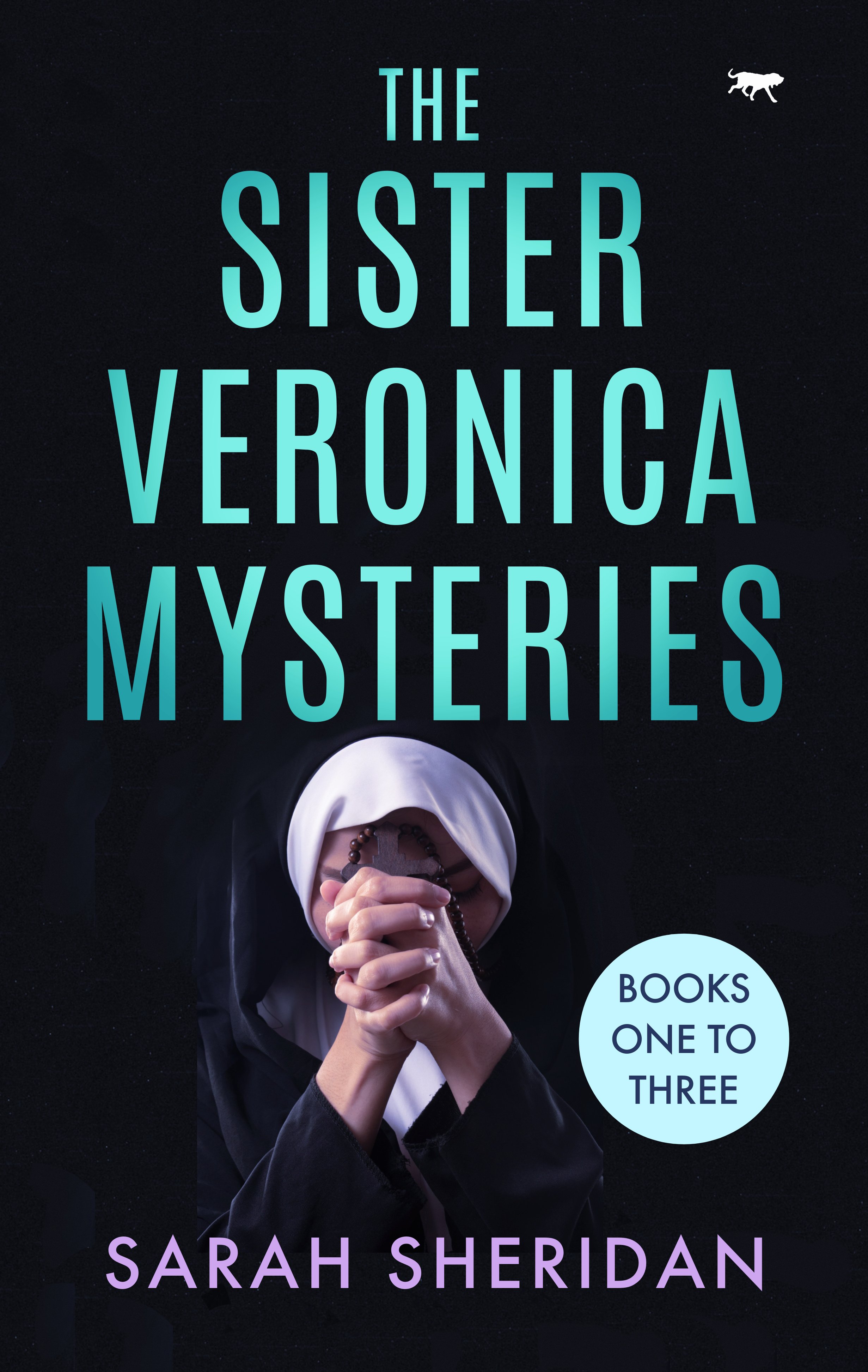 Sister Veronica mysteries BOXSET copy.jpg