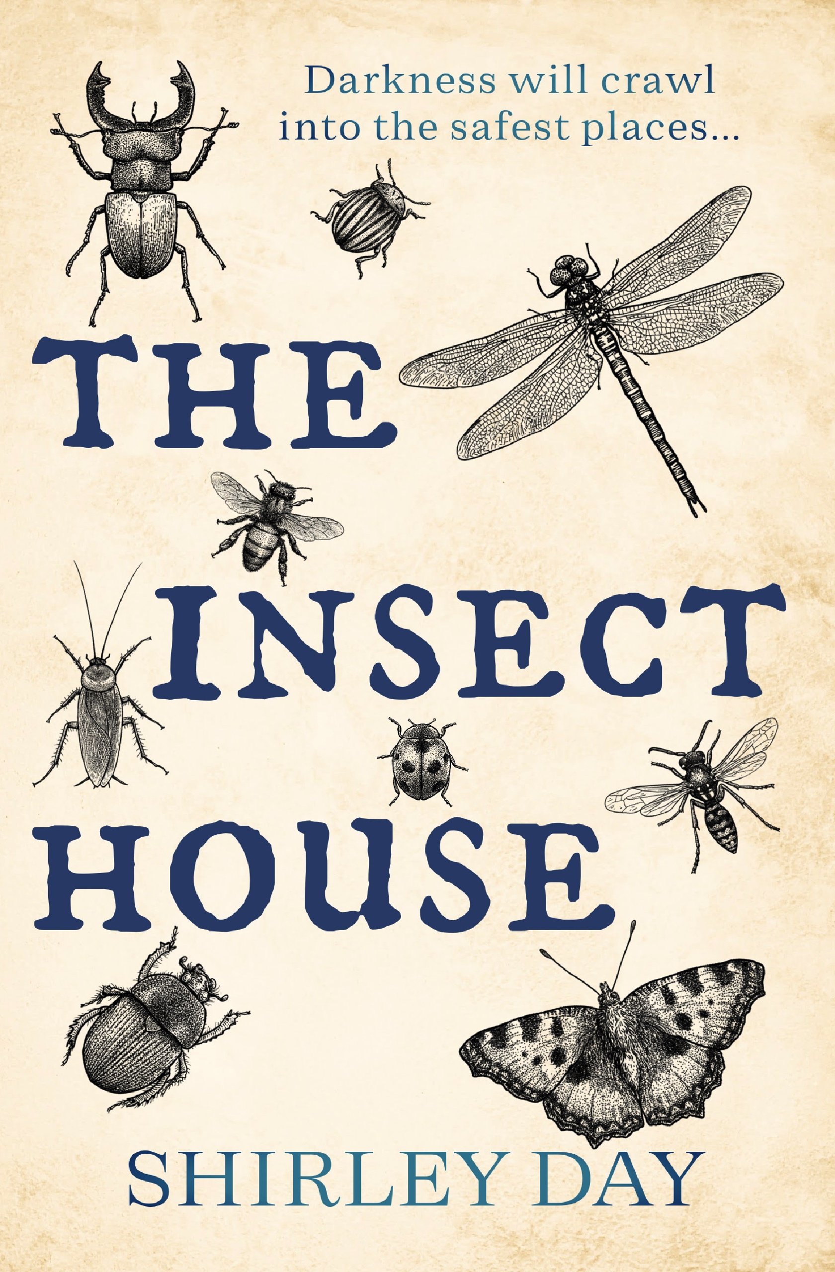 The-Insect-House-Kindle.jpg