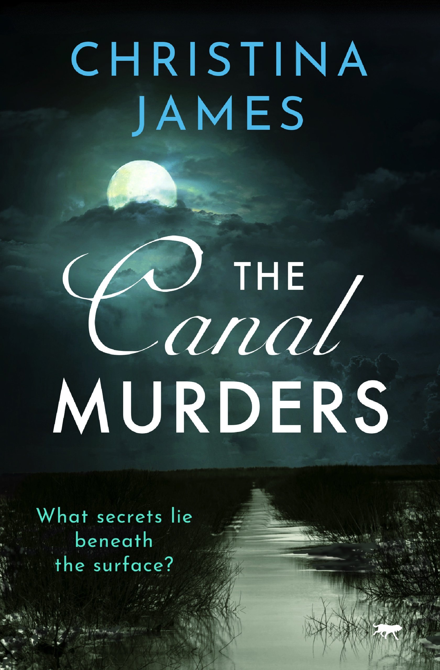 The-Canal-Murders-Kindle.jpg