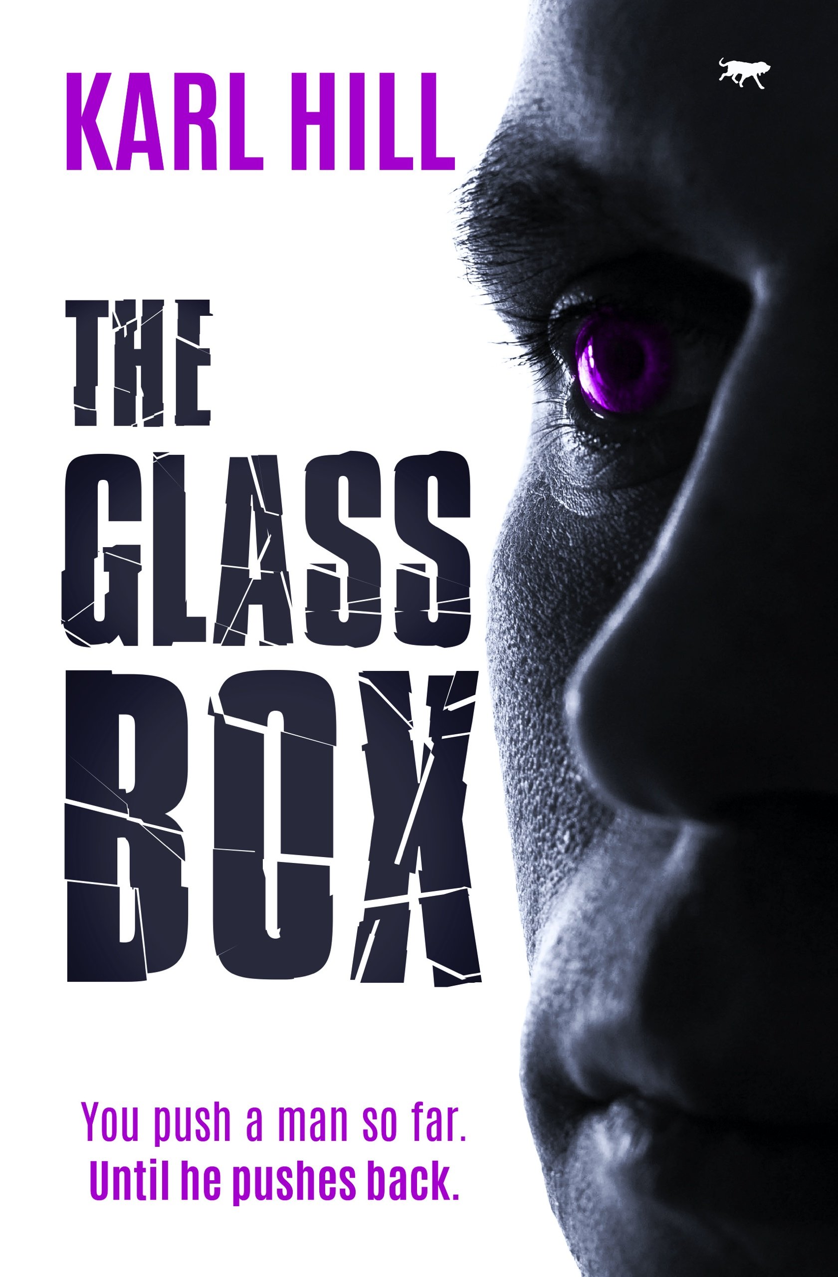 The-Glass-Box-Kindle.jpg