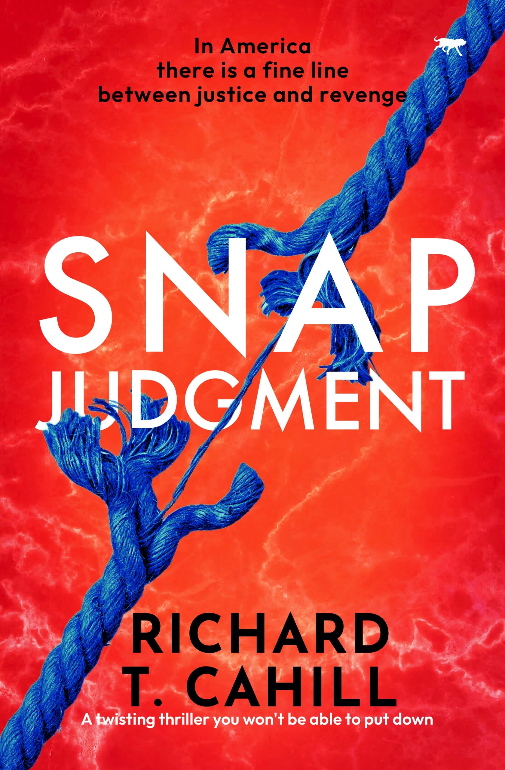 Snap-Judgment-Kindle.jpg