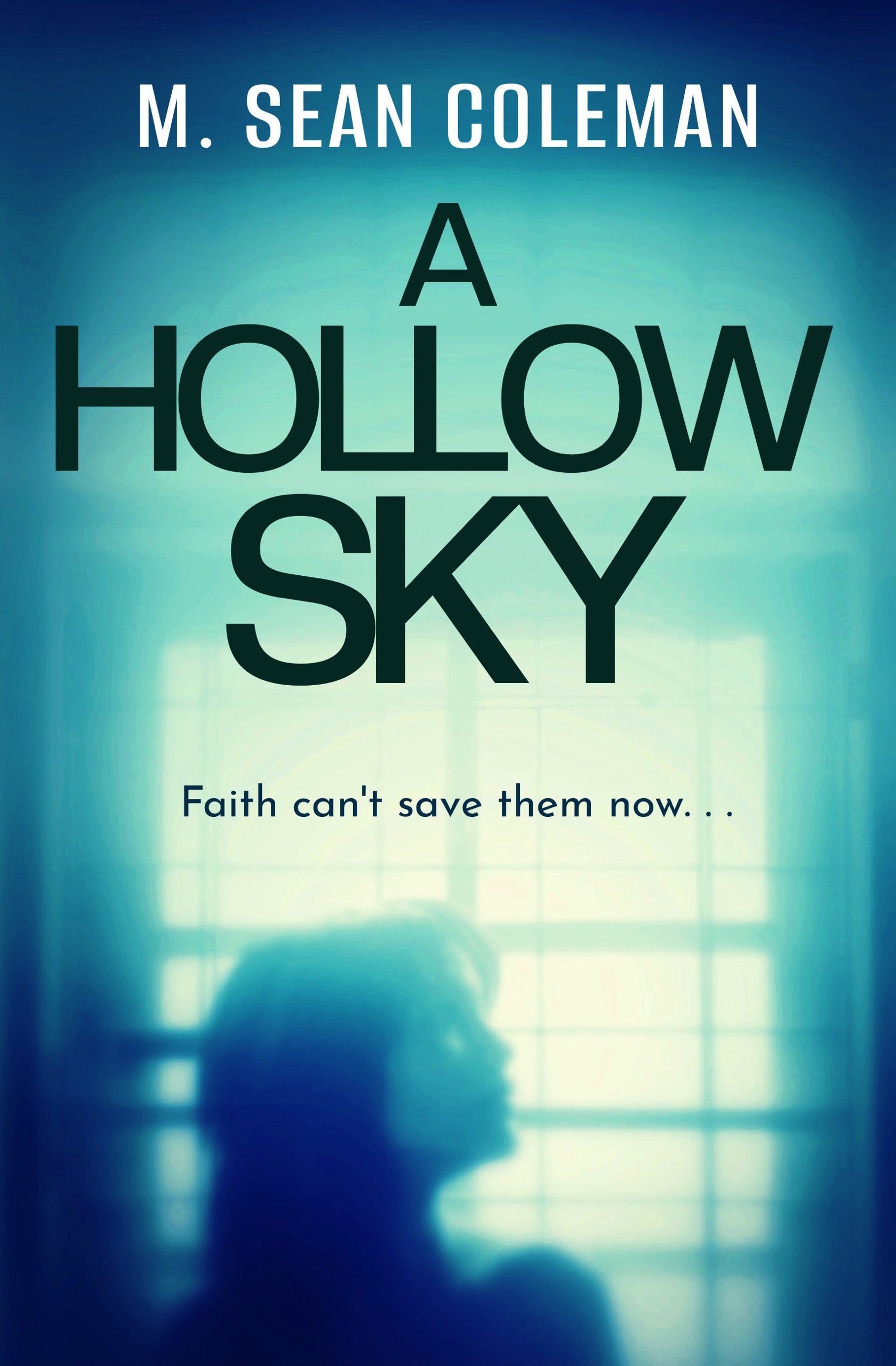 A-Hollow-Sky-Kindle.jpg