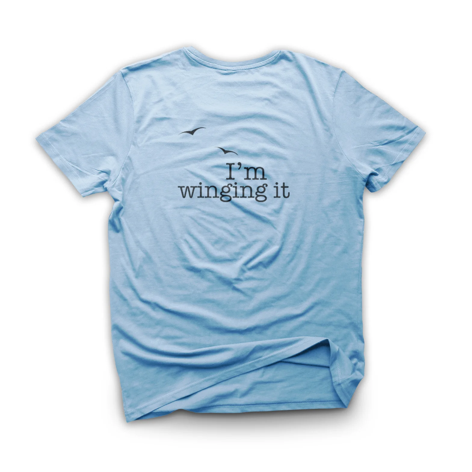 Light Blue wing.jpg