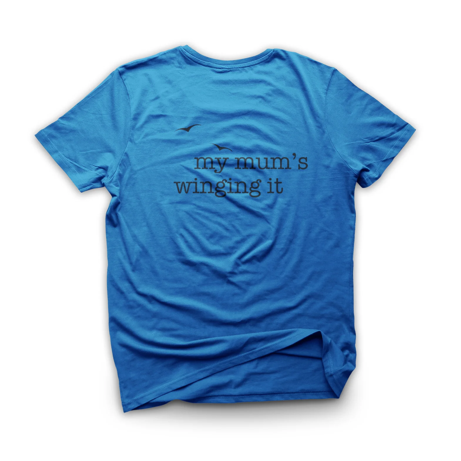 bright Blue wing1.jpg
