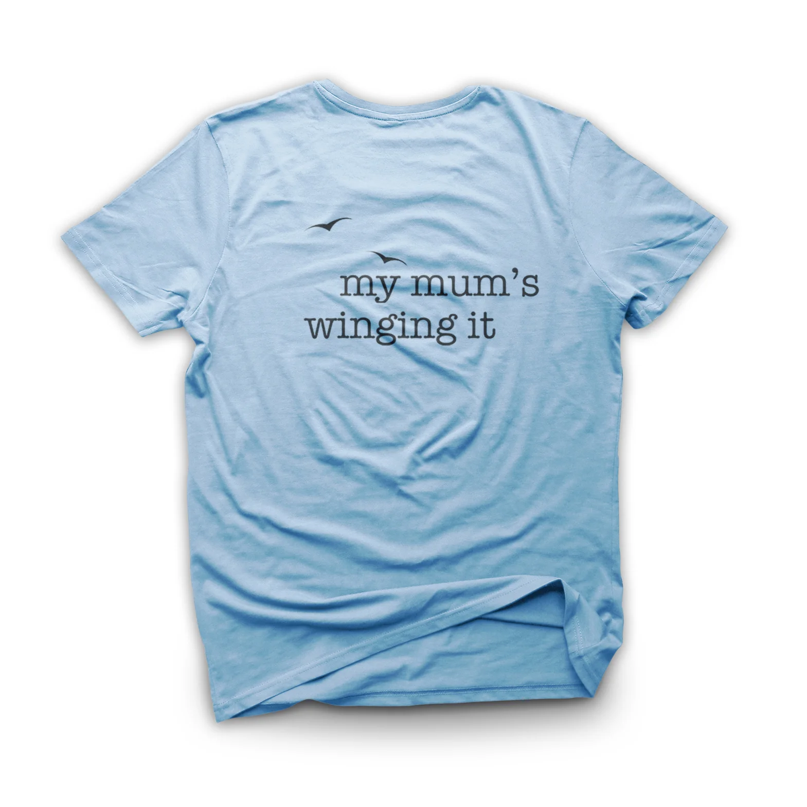 Light Blue wing1.jpg