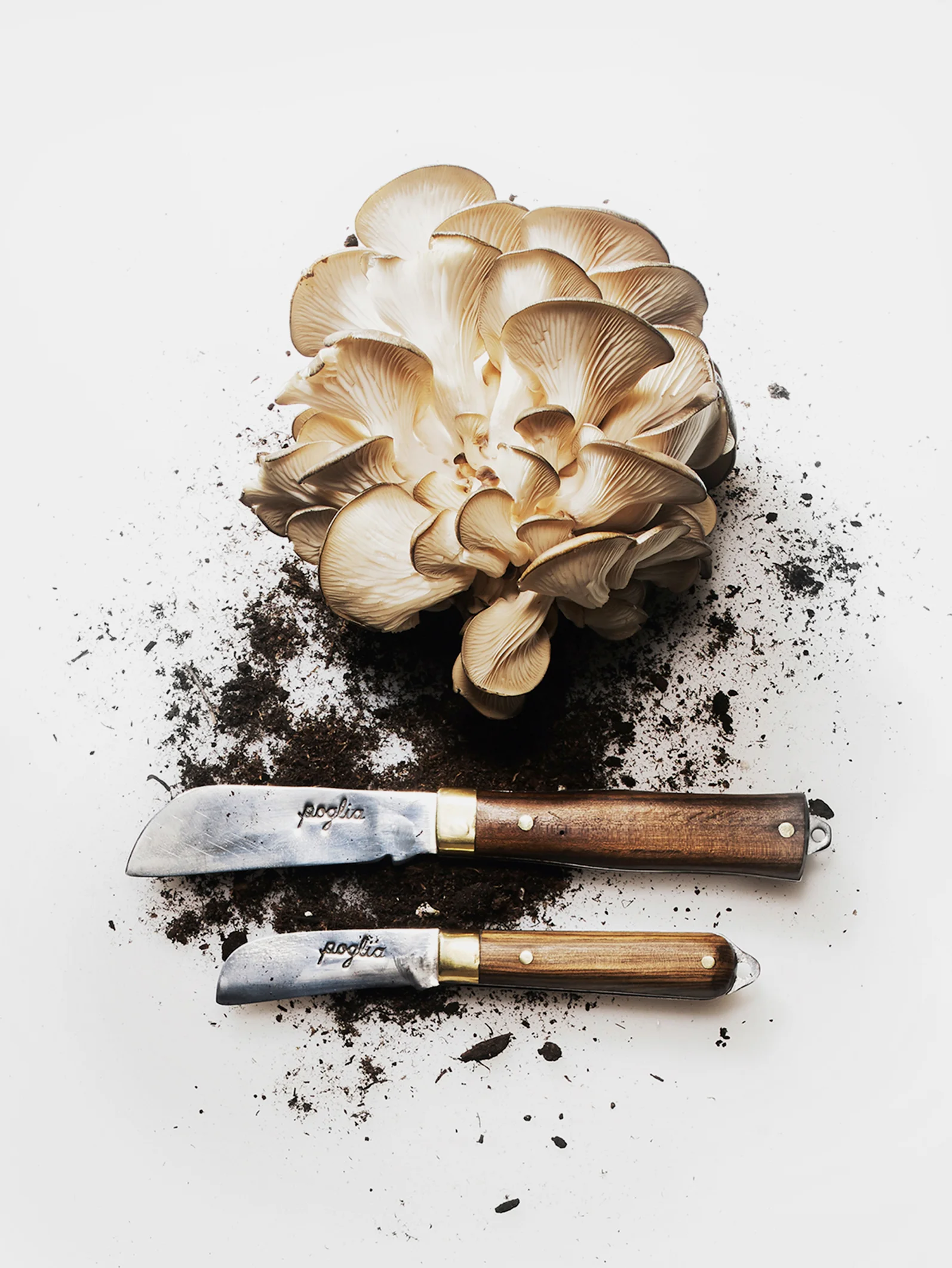 kitchen-knives-detail-2.jpg